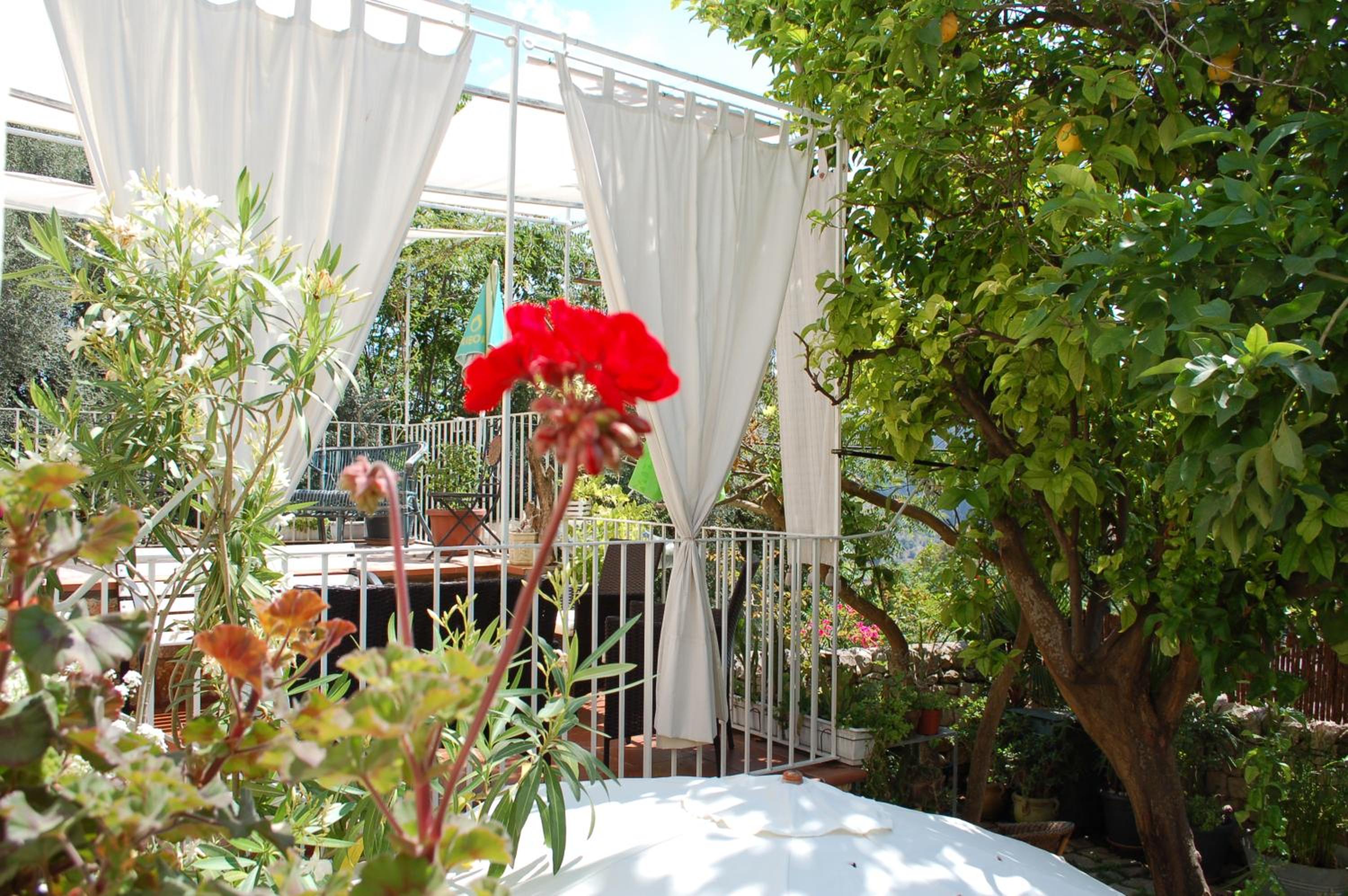 Suite with Garden View - Photo 34