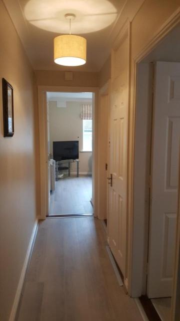 One-Bedroom Apartment - Photo 7