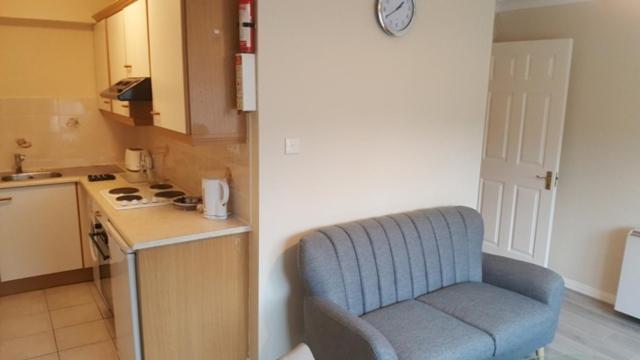 One-Bedroom Apartment - Photo 3