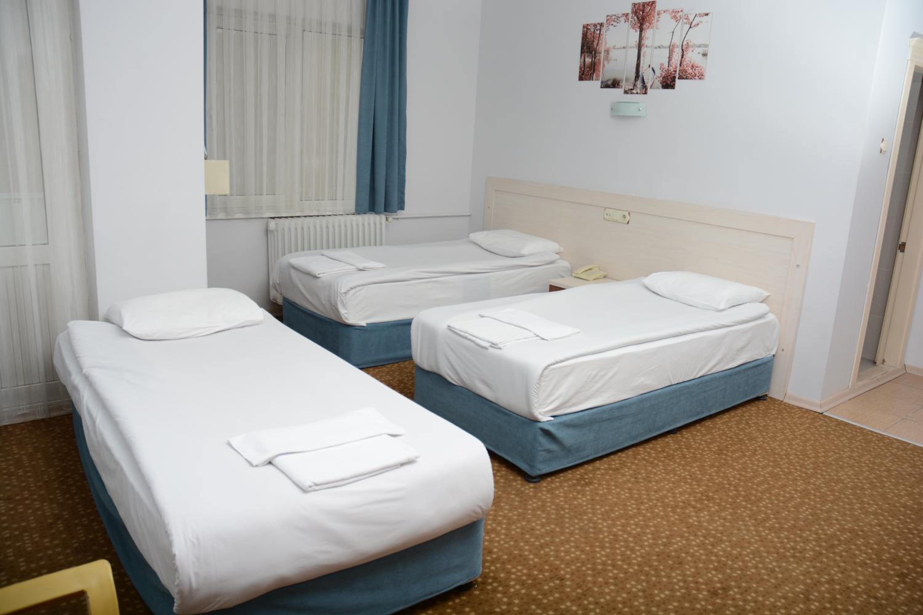 Standard Triple Room with Bathroom