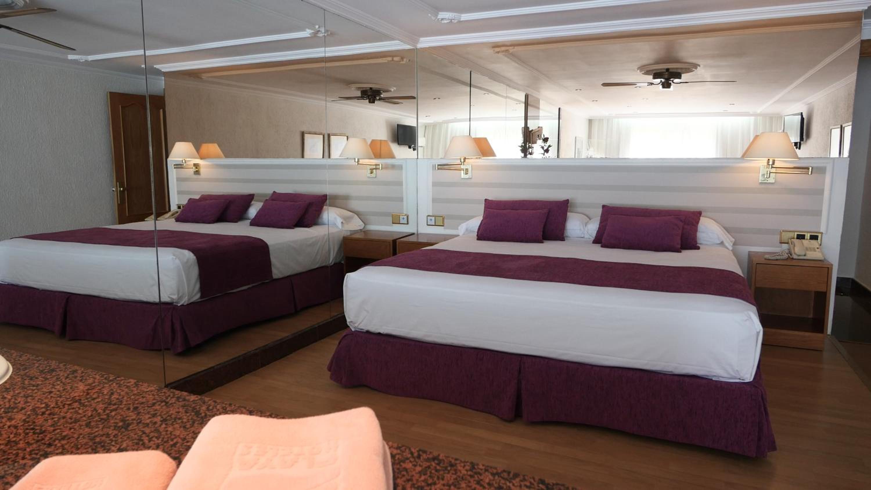 Suite - Photo 1