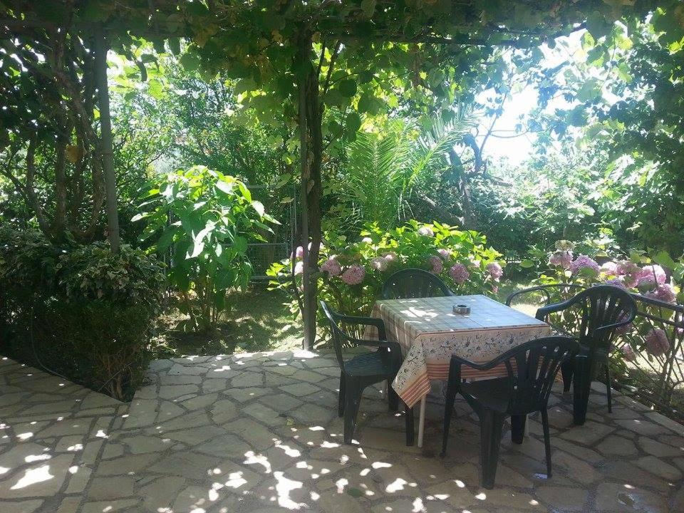 Apartment with Garden View
