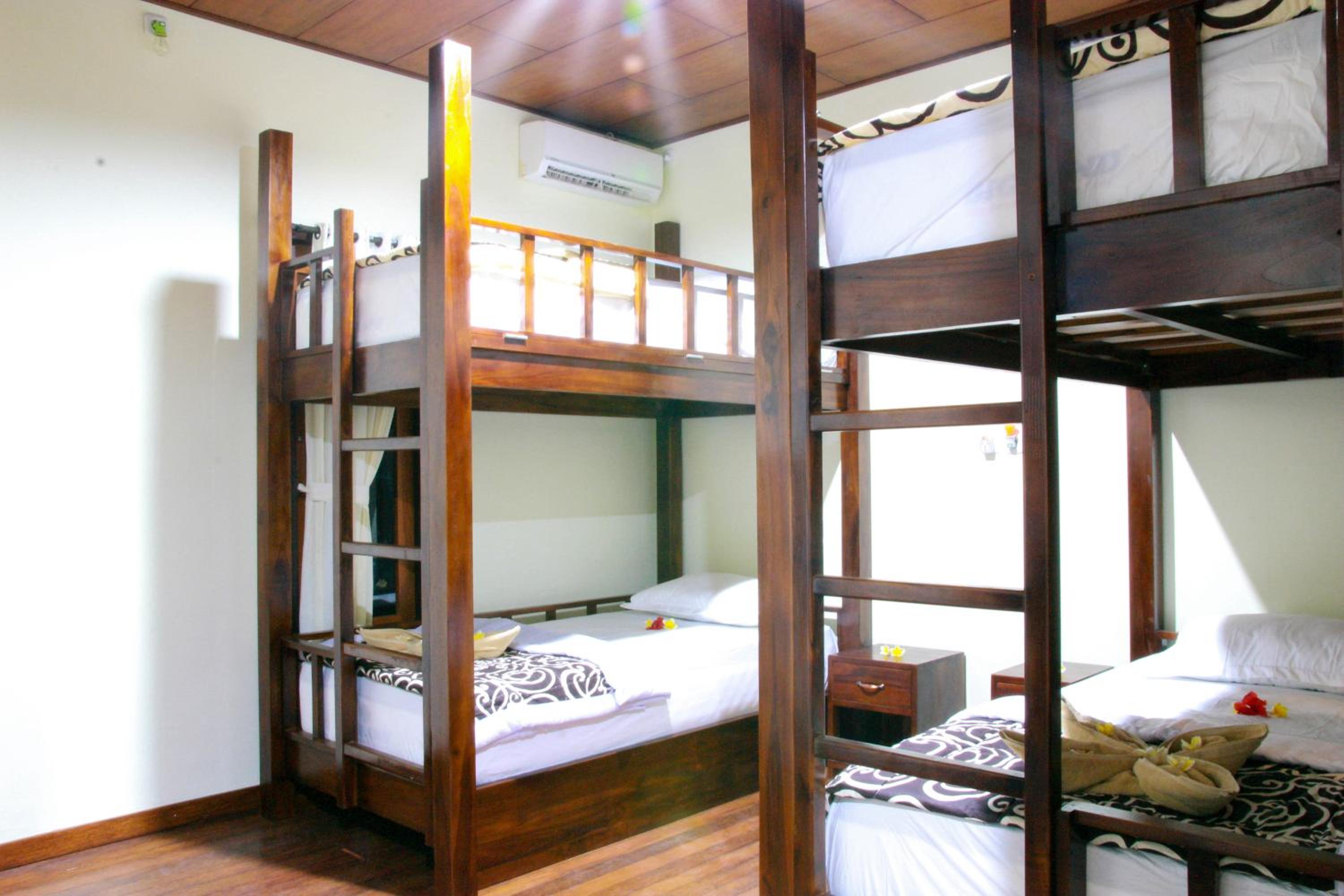 Single Bed in 6-Bed Dormitory Room photo 1