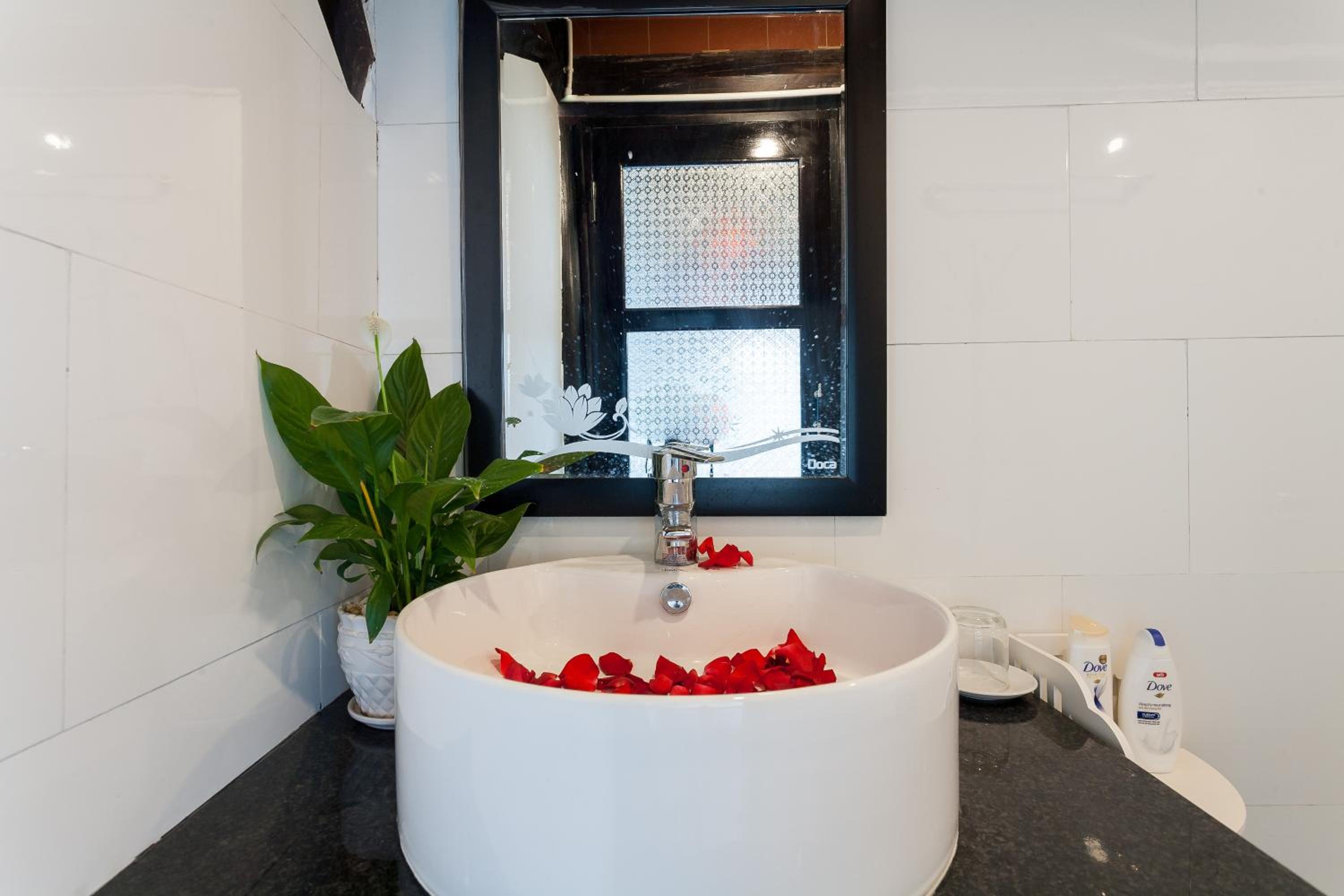 Suite - Photo 1