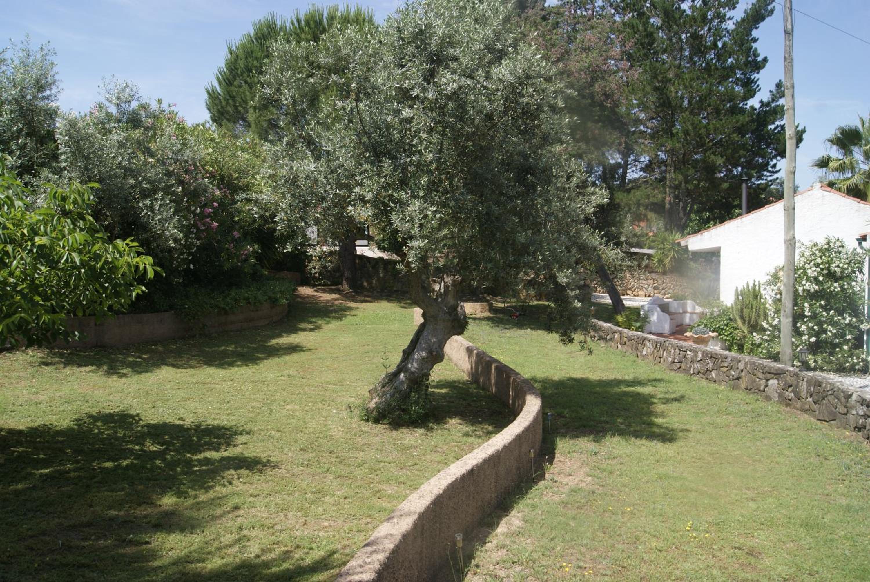 Double Room - Photo 10