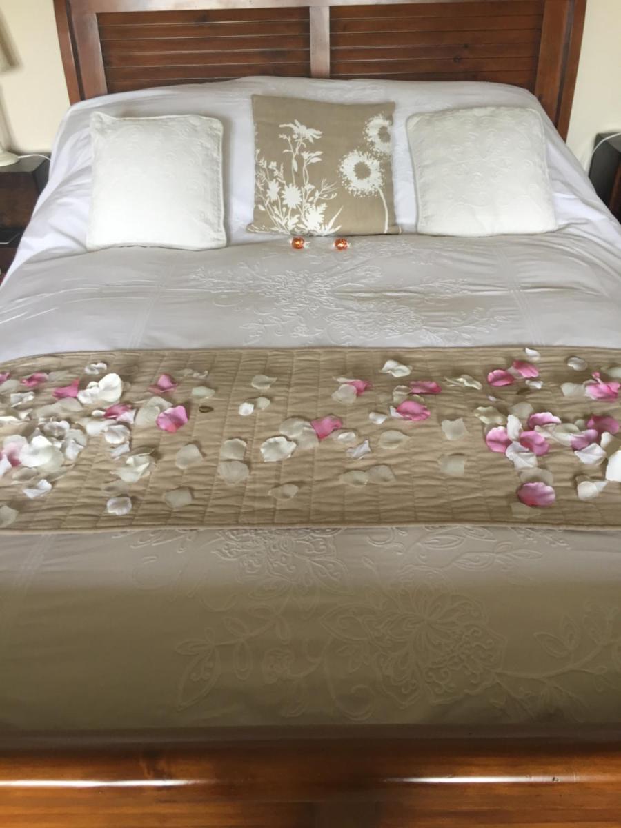 King Room photo 1