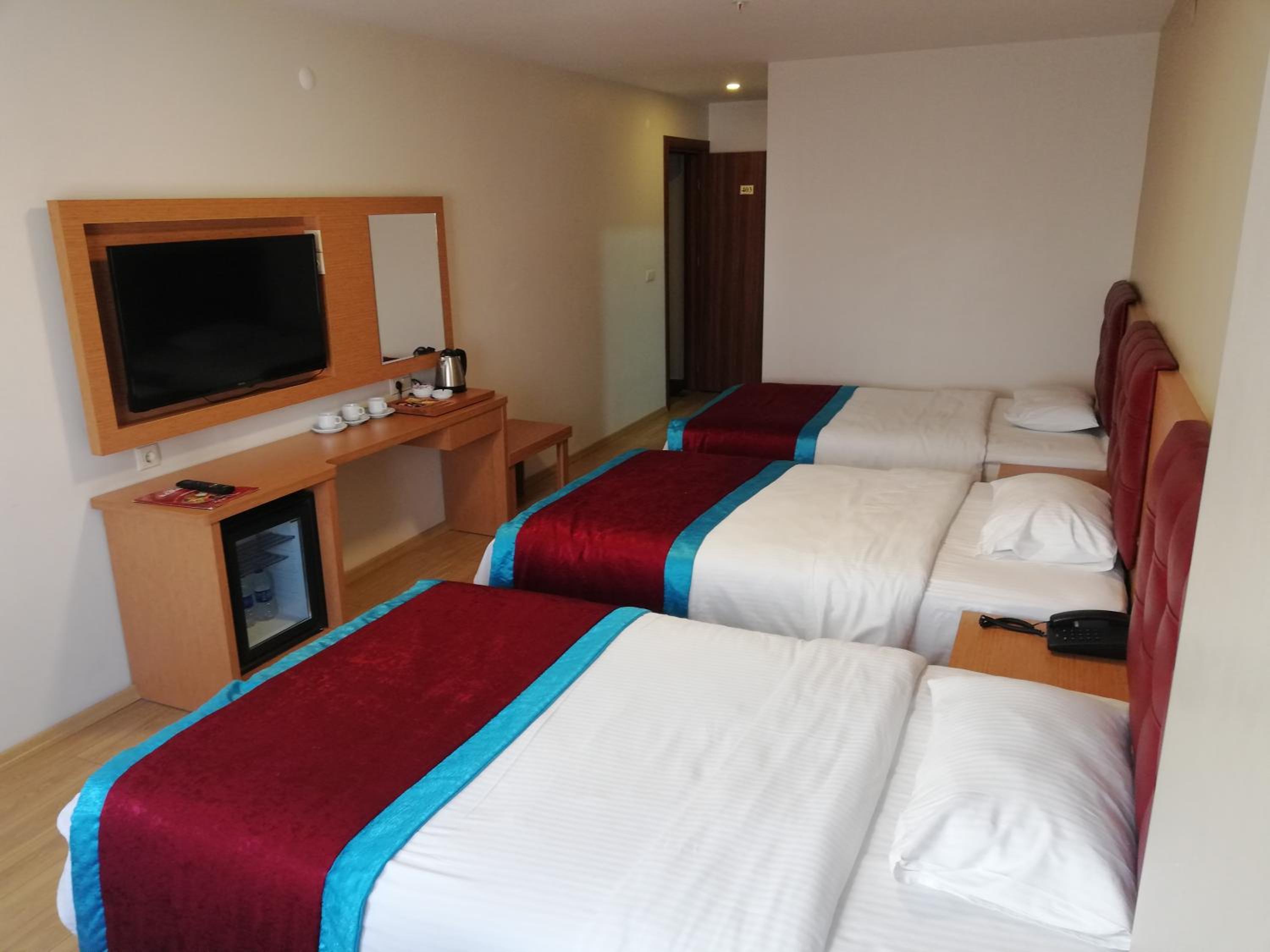 Standard Triple Room - Photo 1