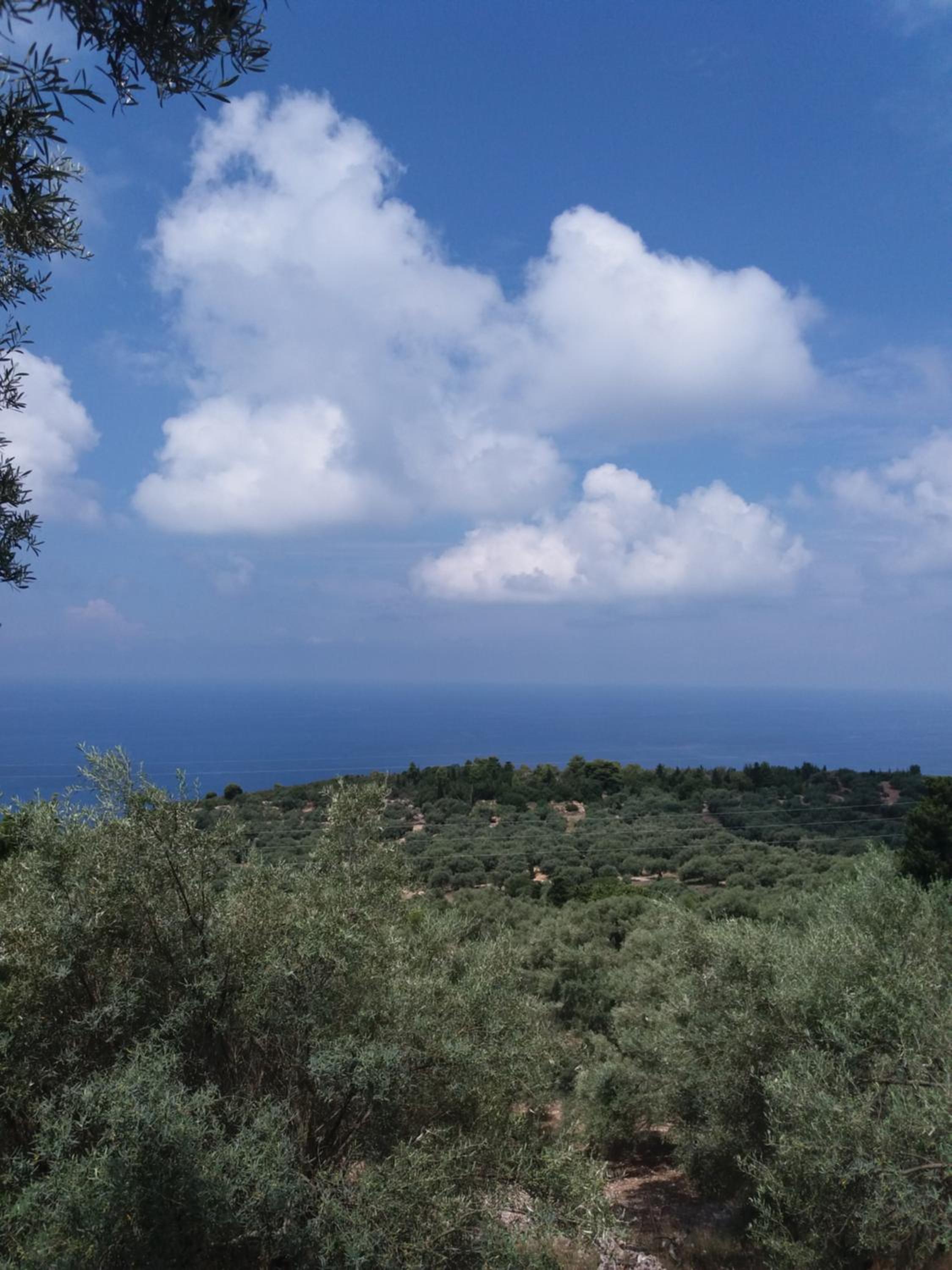 Triple Room with Sea View - Photo 24