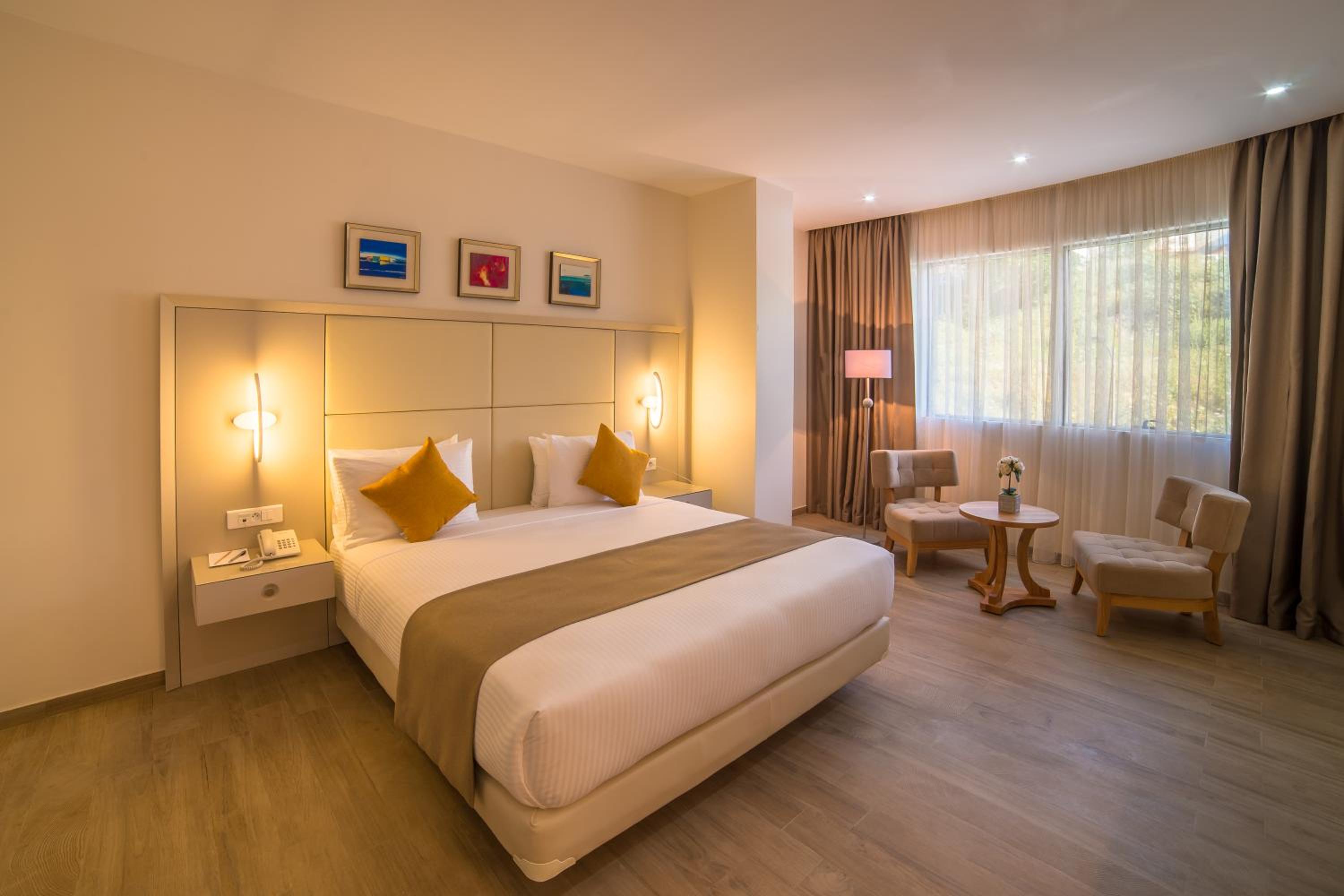 King Suite - Photo 1