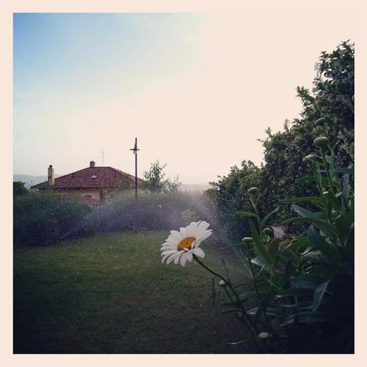 Agriturismo Monte Cologna, Foto 16