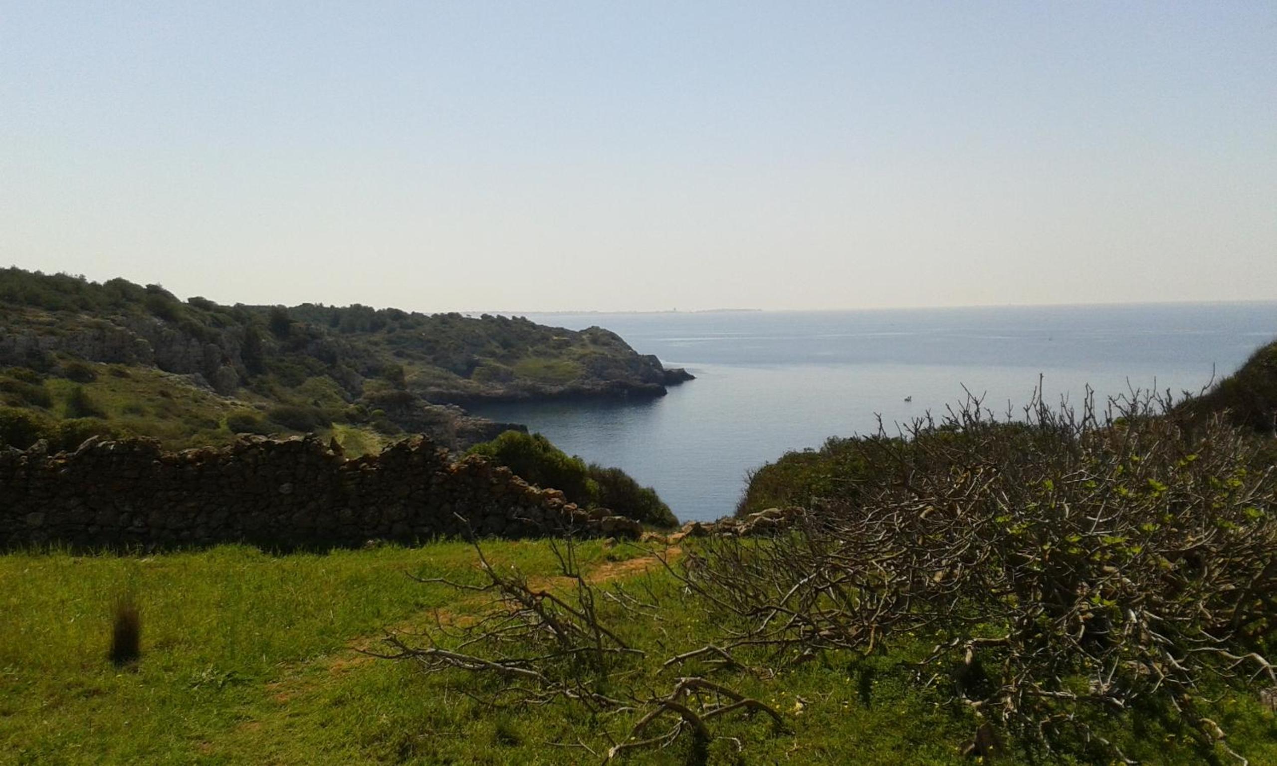Vacation Home - Photo 47