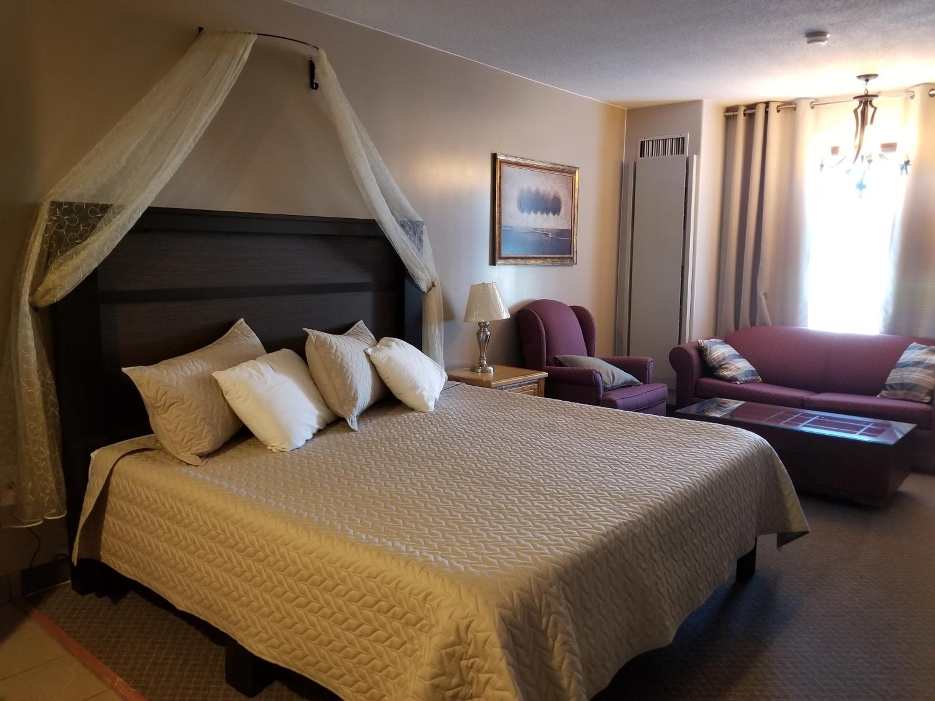 Deluxe King Suite photo 2