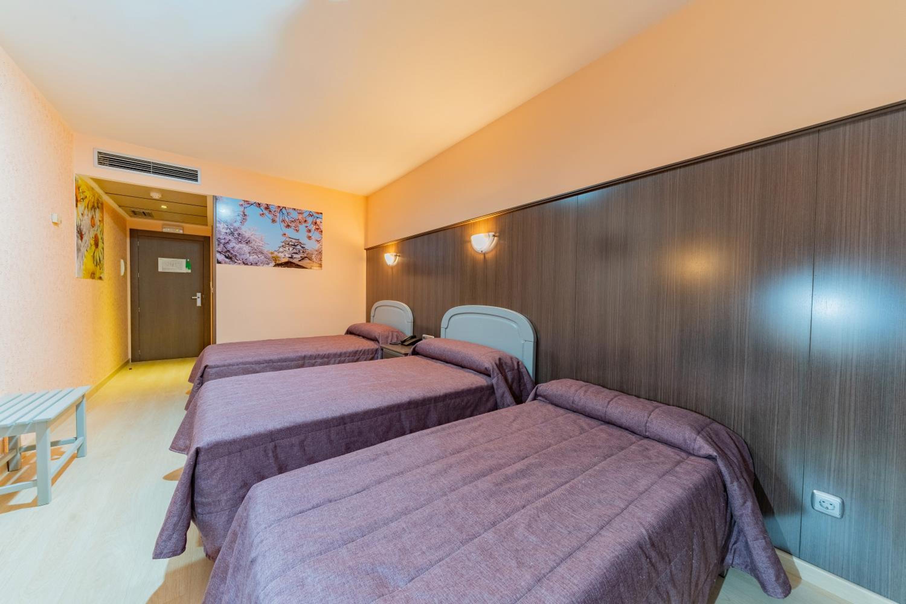 Triple Room - Photo 6