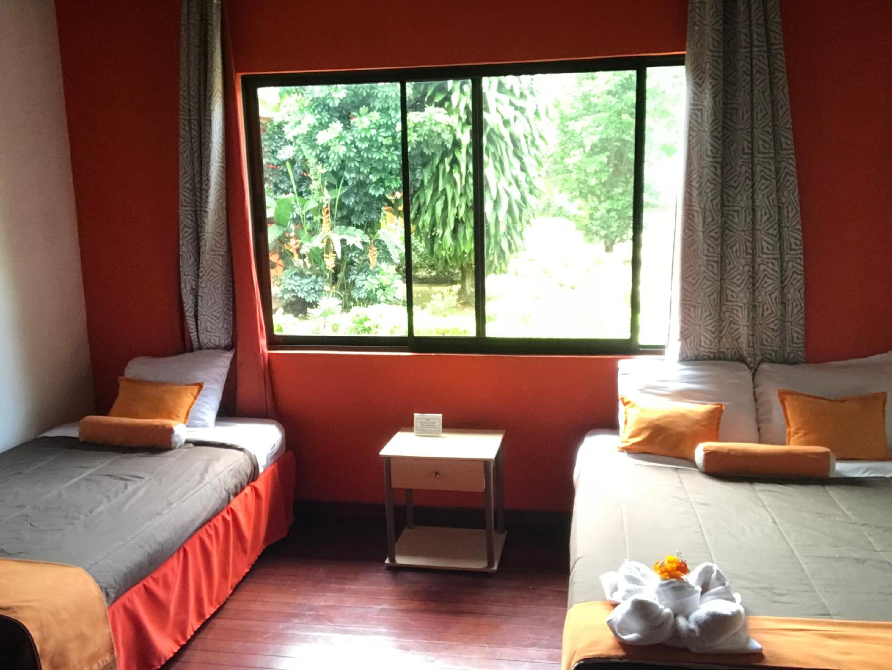 Twin Room photo 2