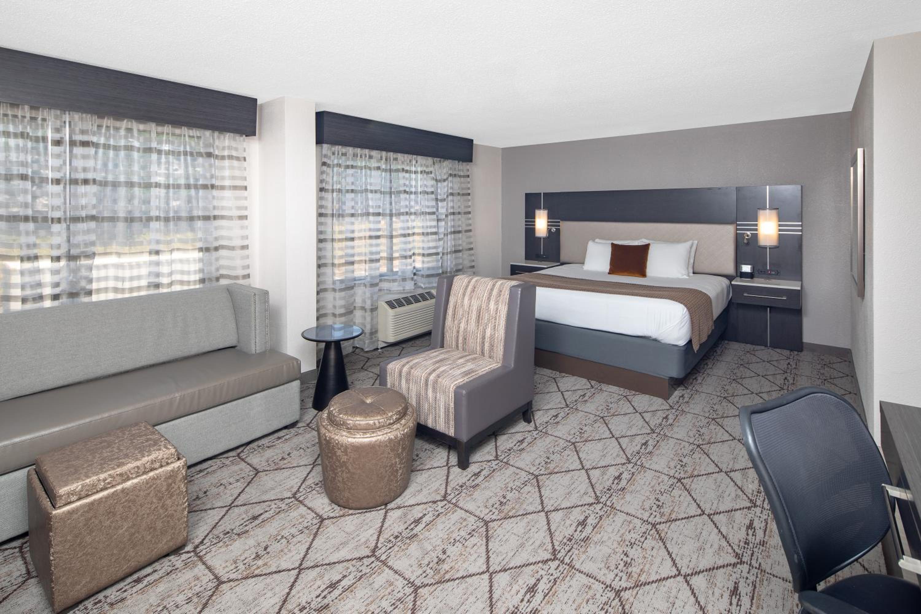 Deluxe King Suite photo 1