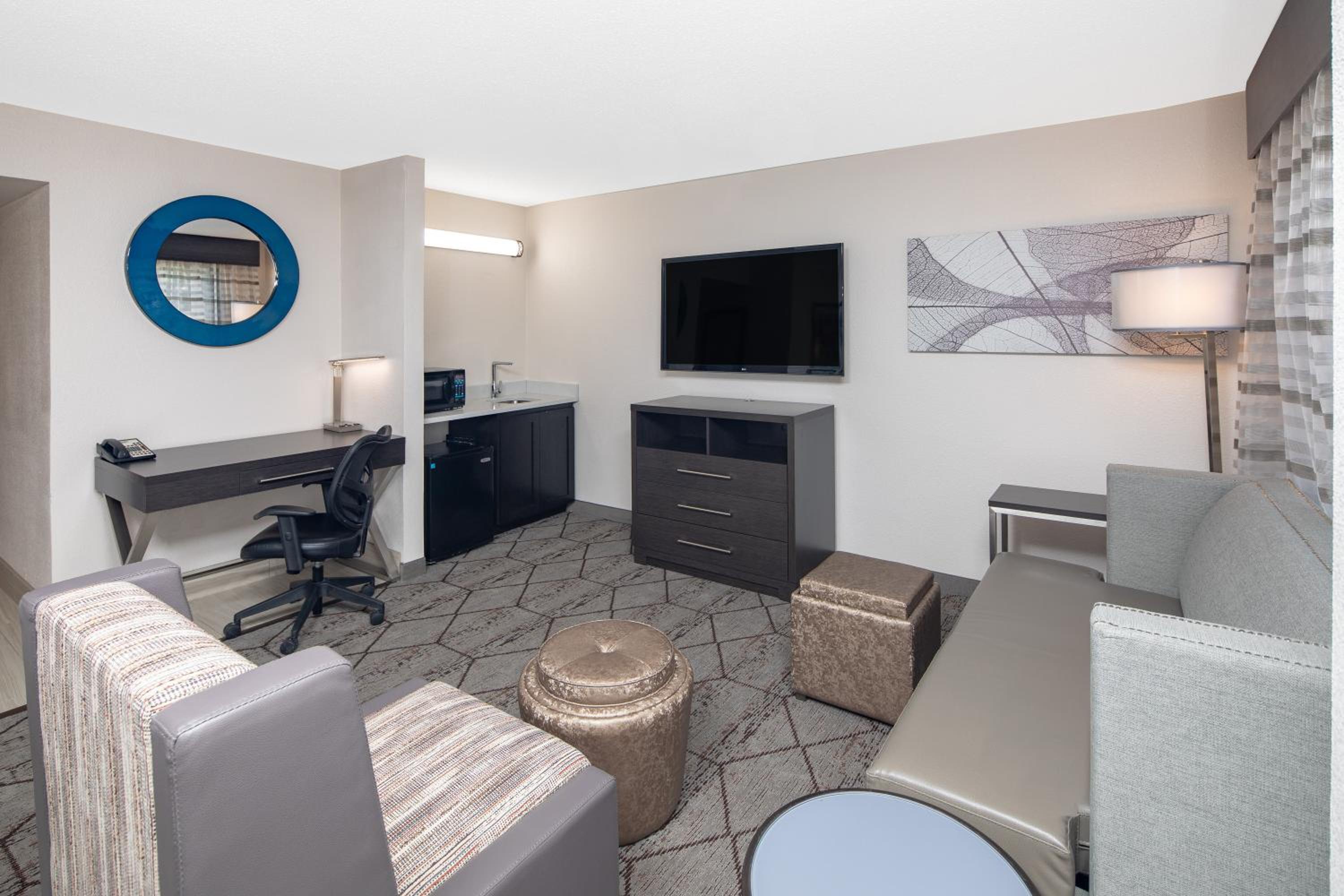Deluxe King Suite photo 2