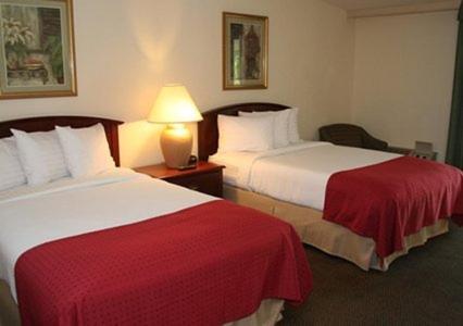 Double Room with Two Double Beds Courtyard View - Photo 1