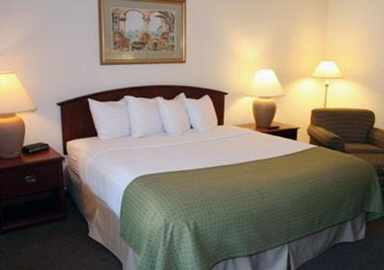 King Room - Non-Smoking - Photo 1