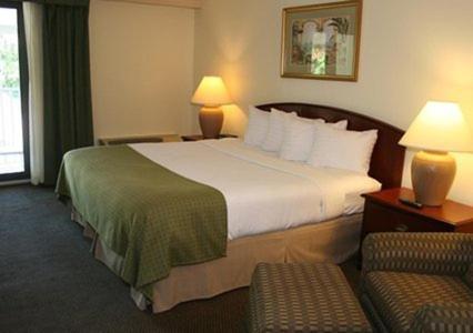 King Room - Non-Smoking - Photo 3