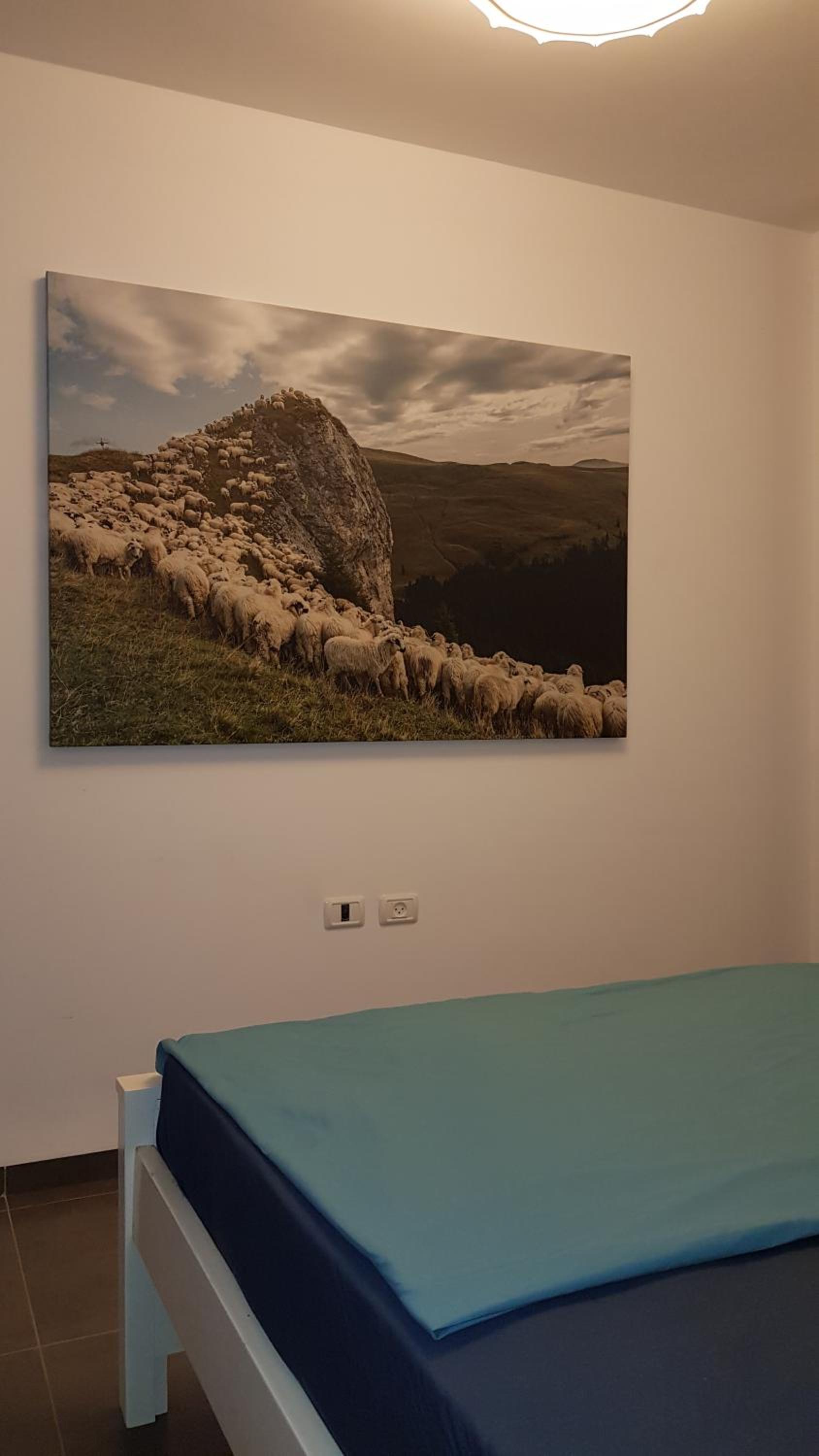 Apartment - Photo 14