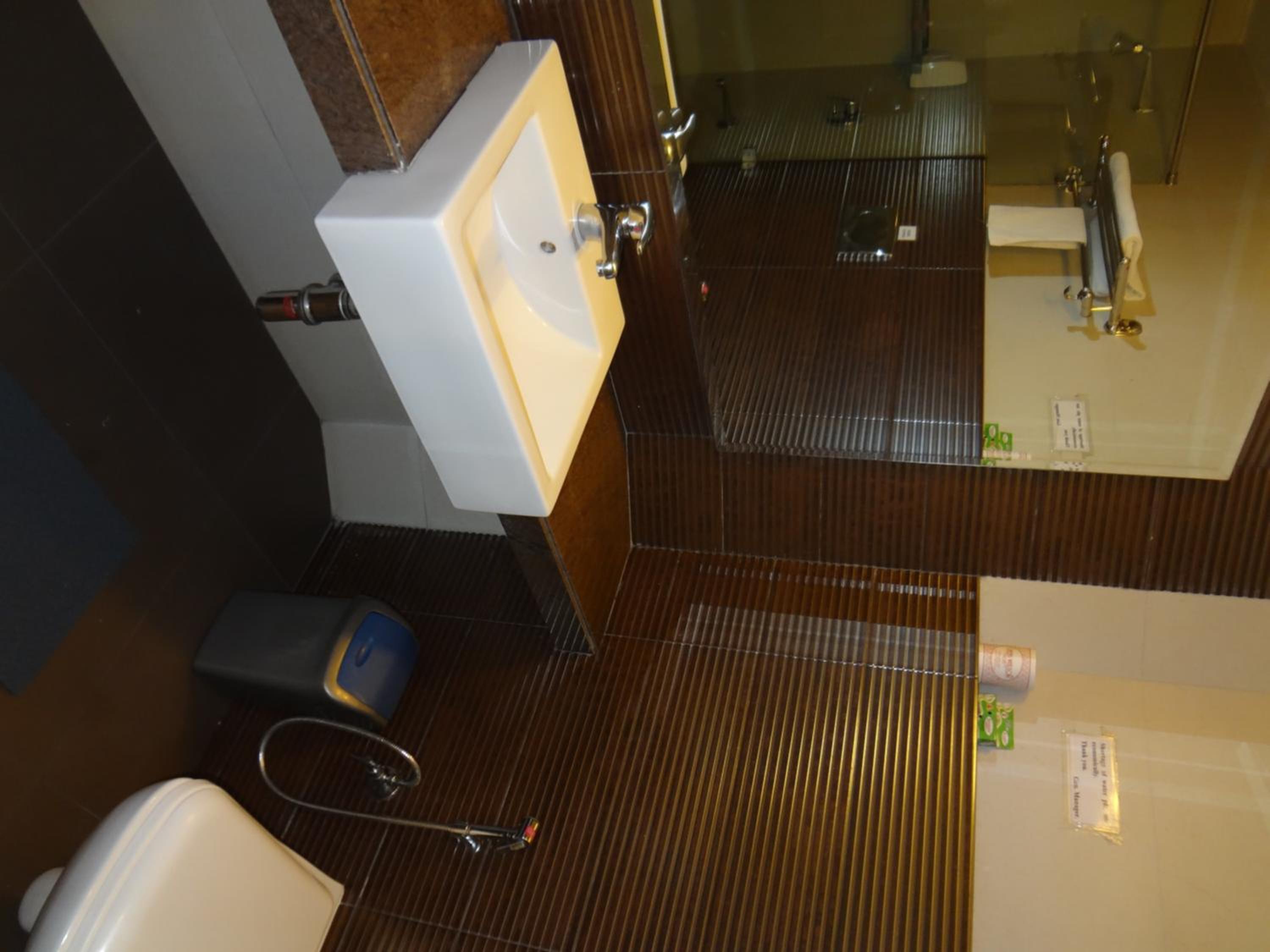 Deluxe Room - Photo 6