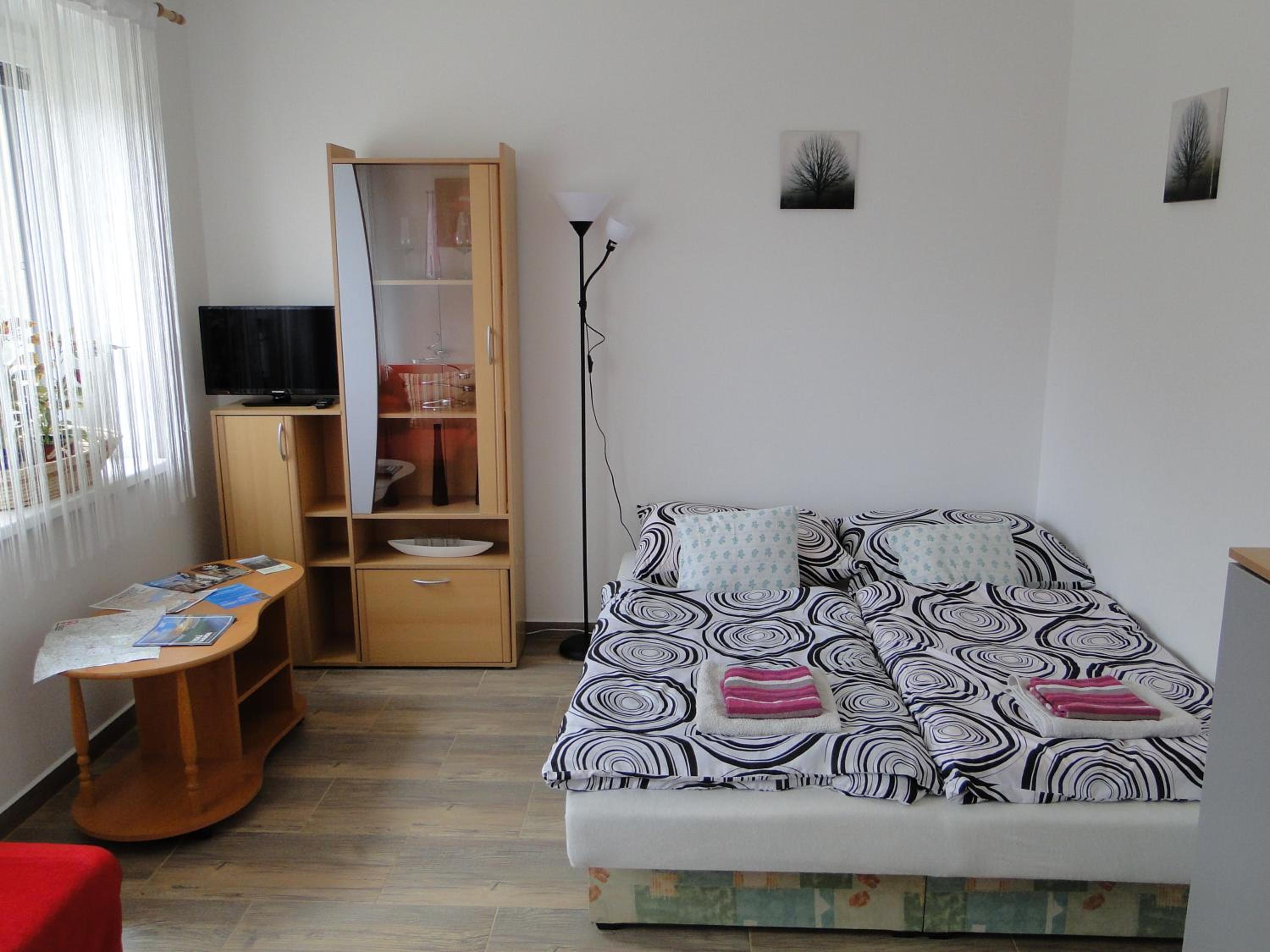 Standard Apartment photo 1
