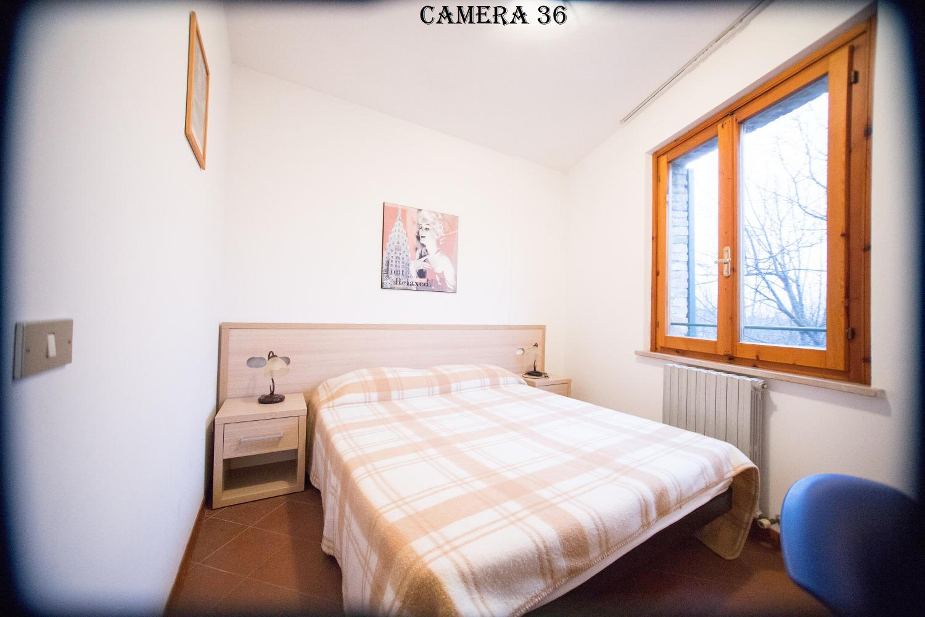 Single Room photo 3