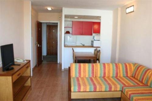 Apartment with Terrace photo 2