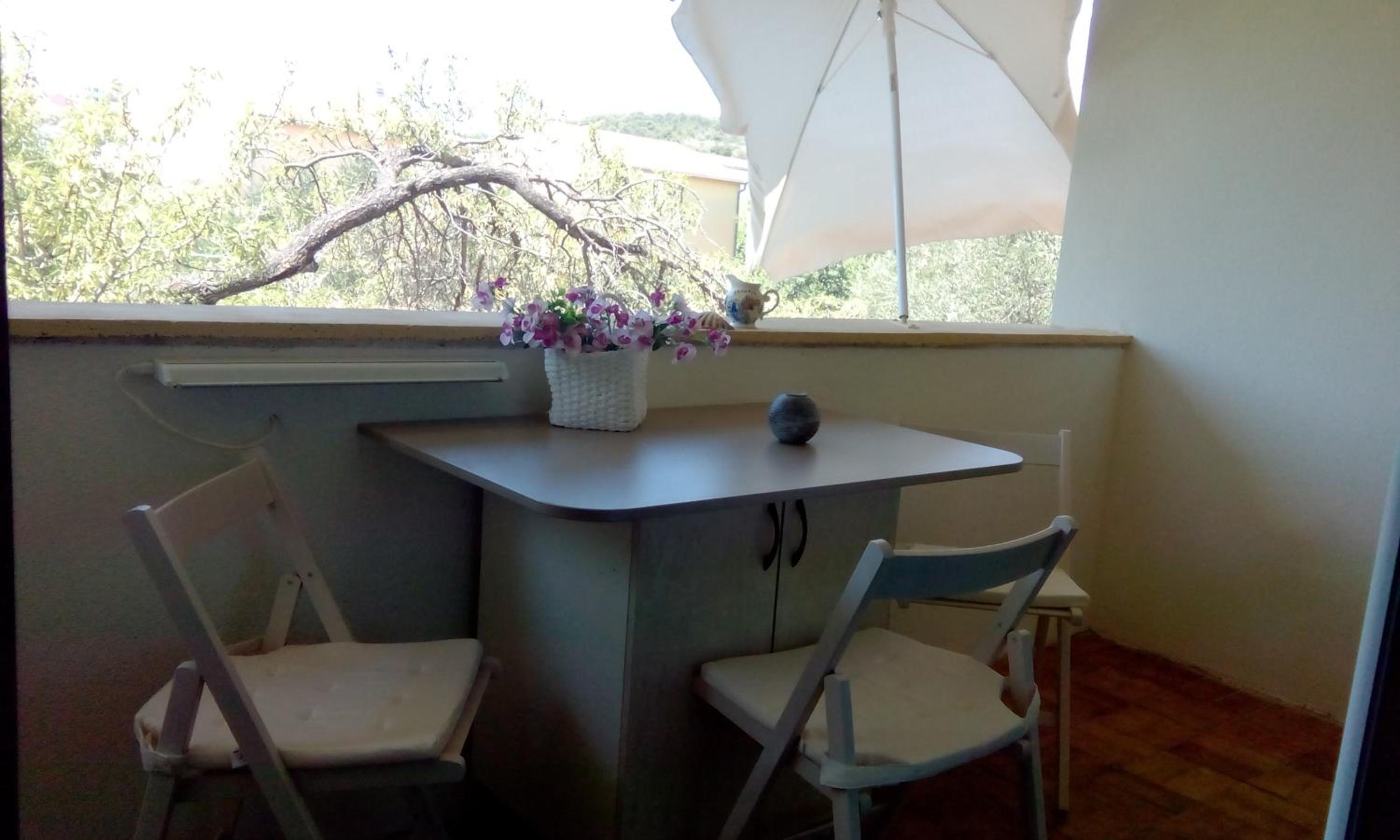 Studio with Garden View