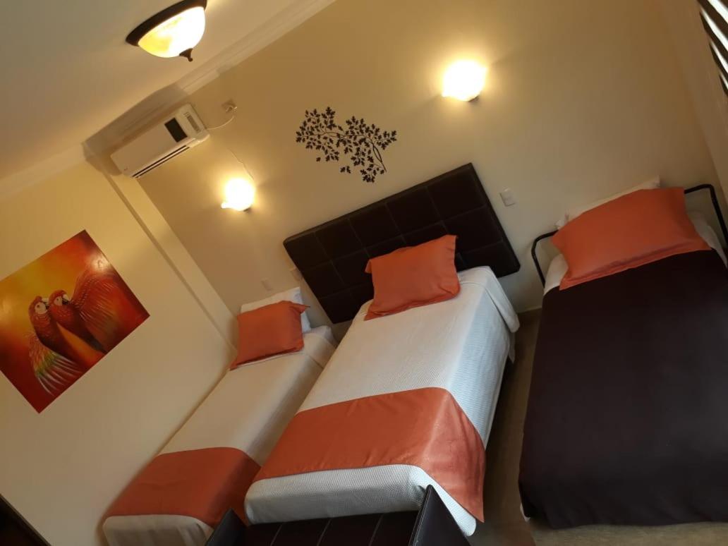 Triple Room photo 3