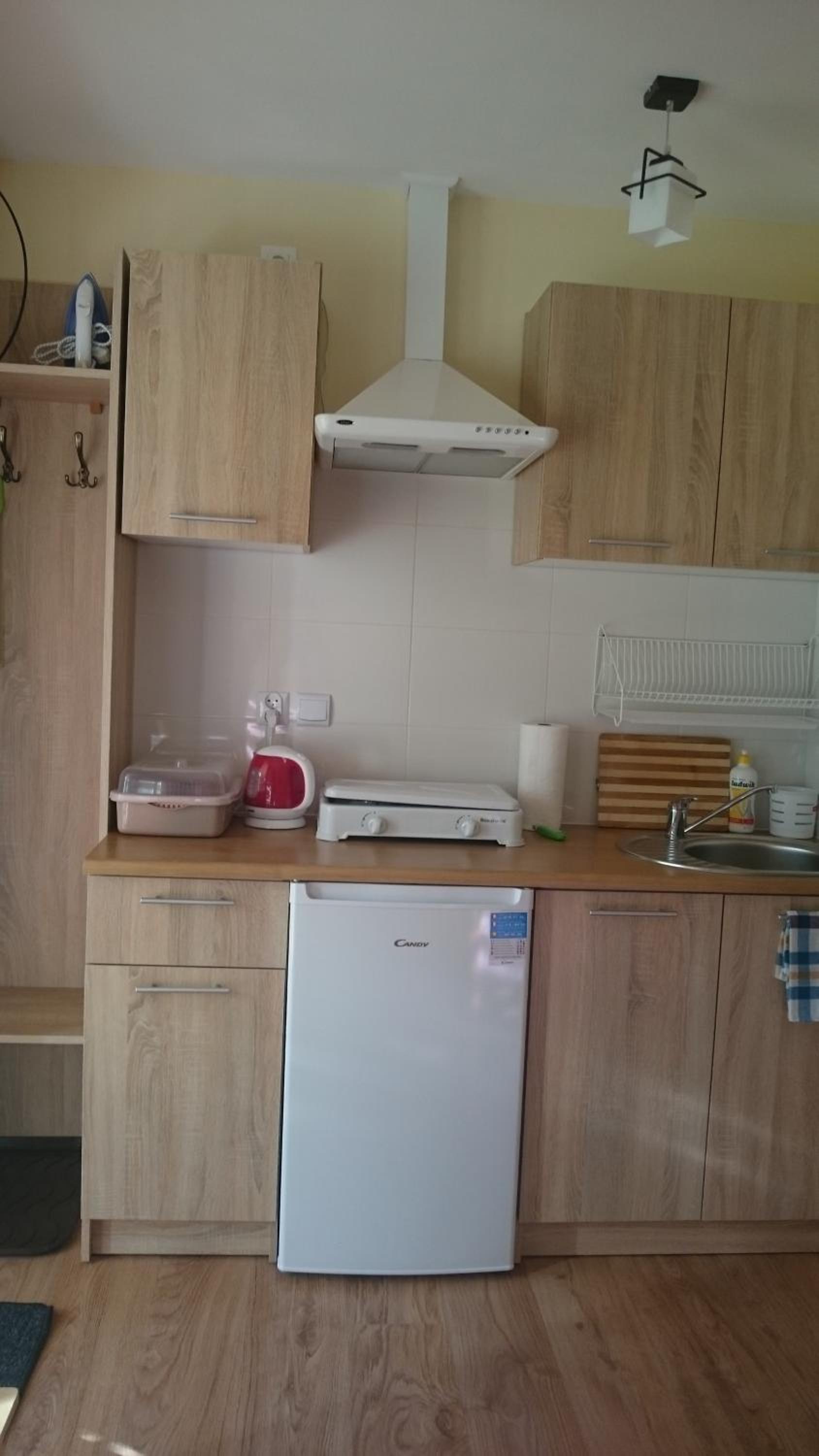 Apartment with Terrace photo 2