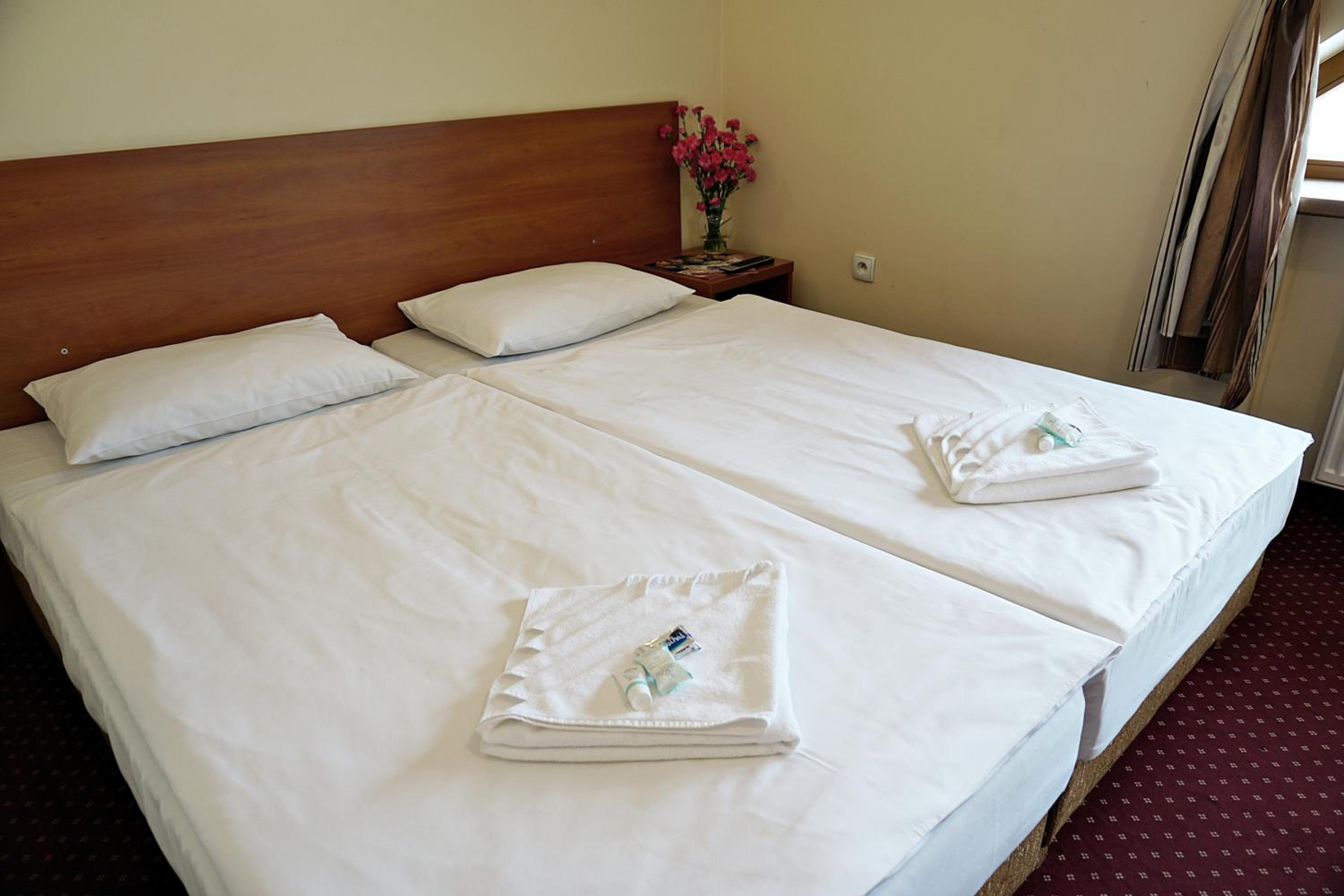 Double or Twin Room - Photo 1