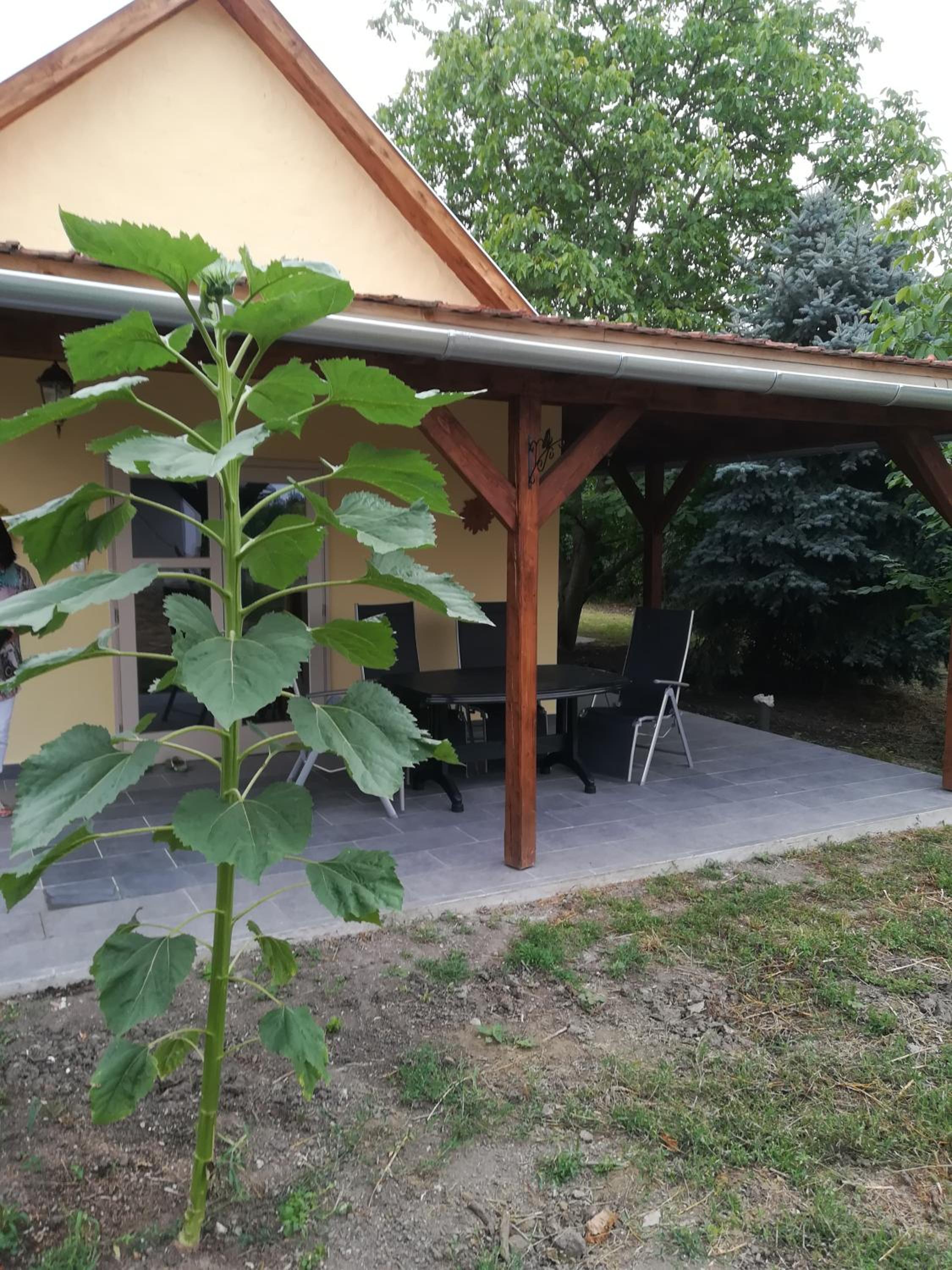 Vacation Home - Photo 39