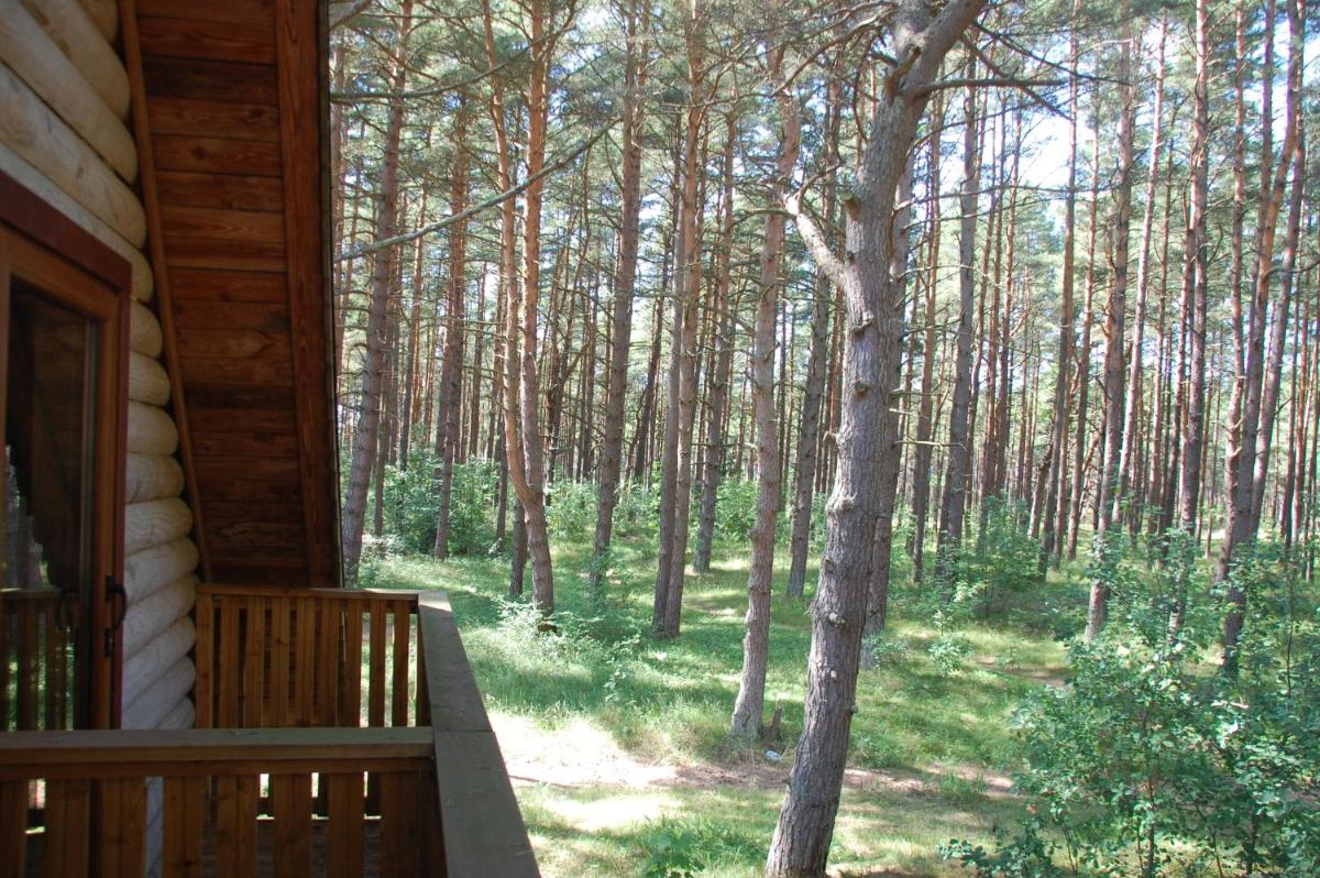 Triple Room with Balcony - Photo 1