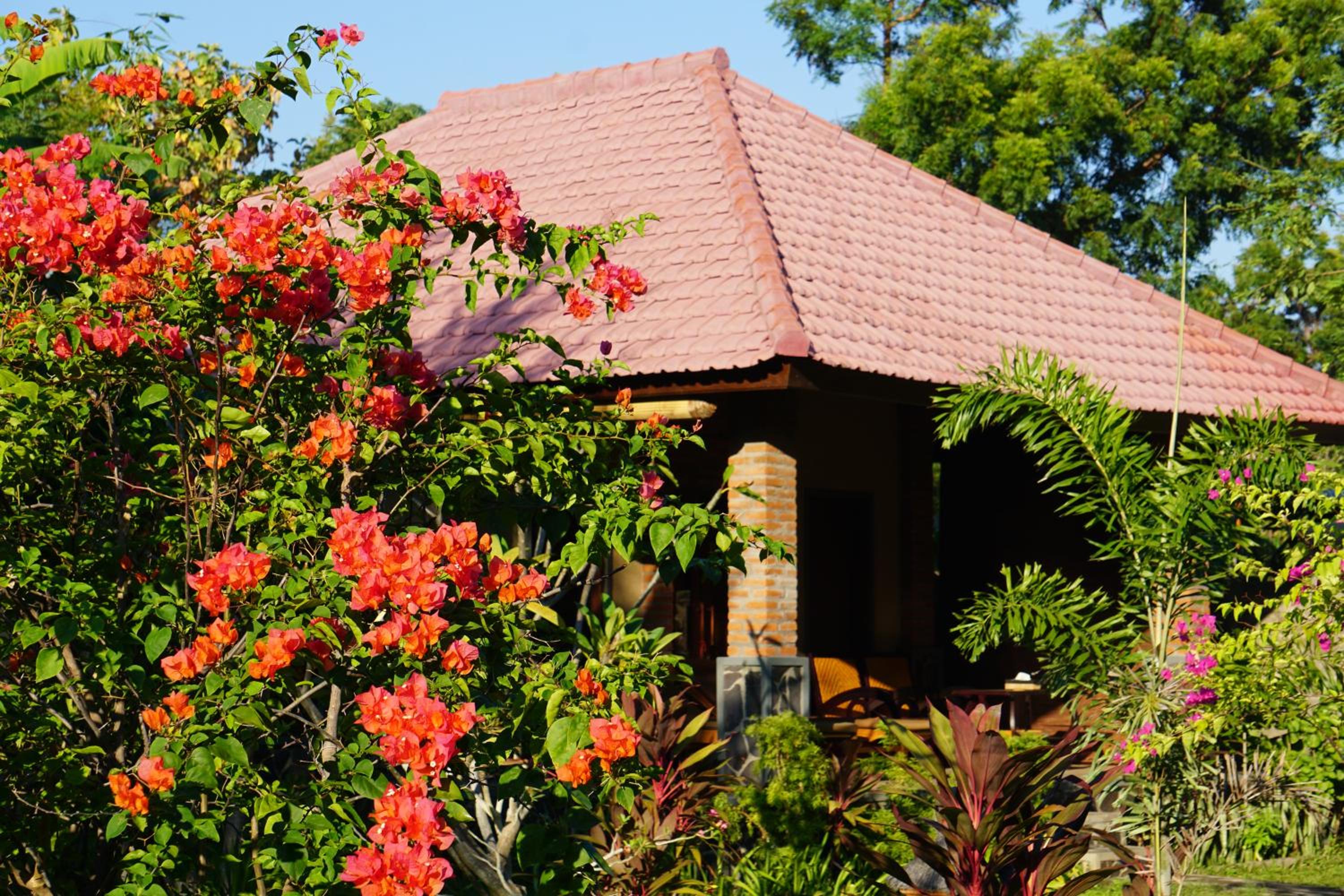 Bungalow with Garden View photo 2