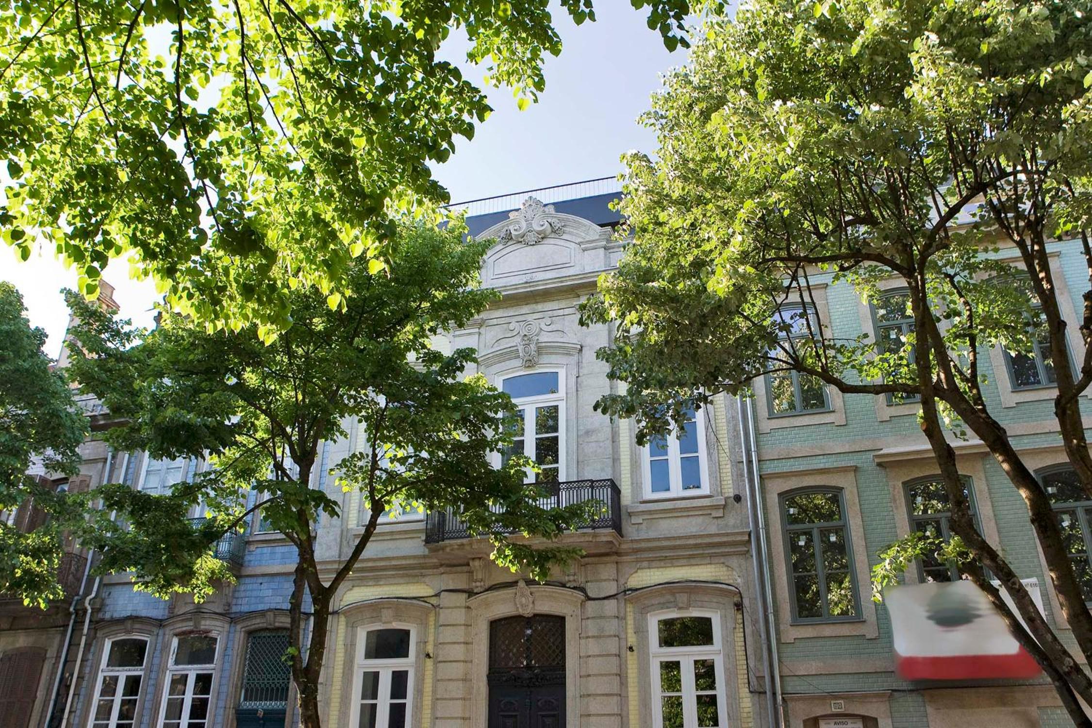 Apartment - Photo 10