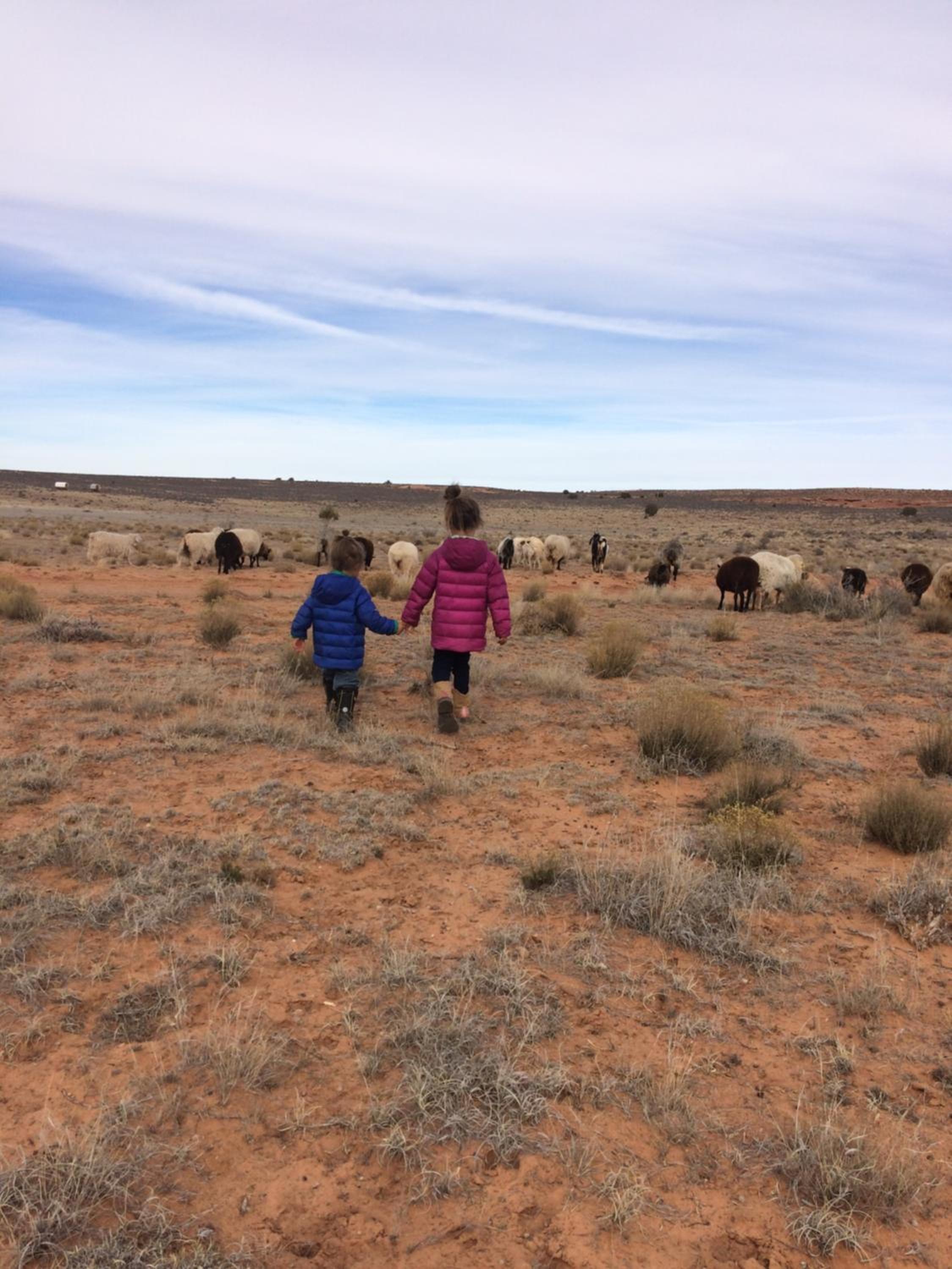 Traditional Navajo Hogan (1) - Photo 7