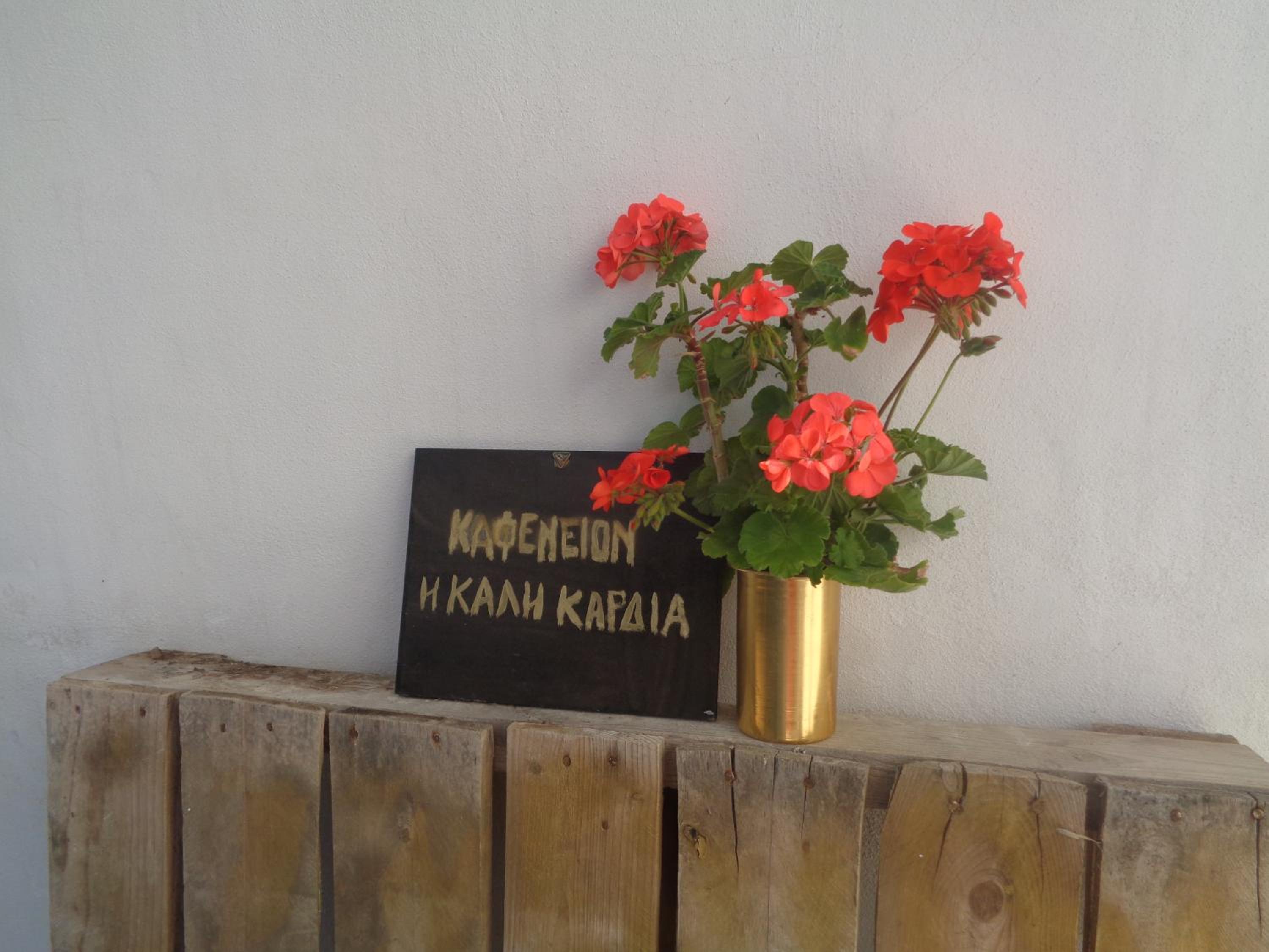 Villa - Beach Front - Photo 5