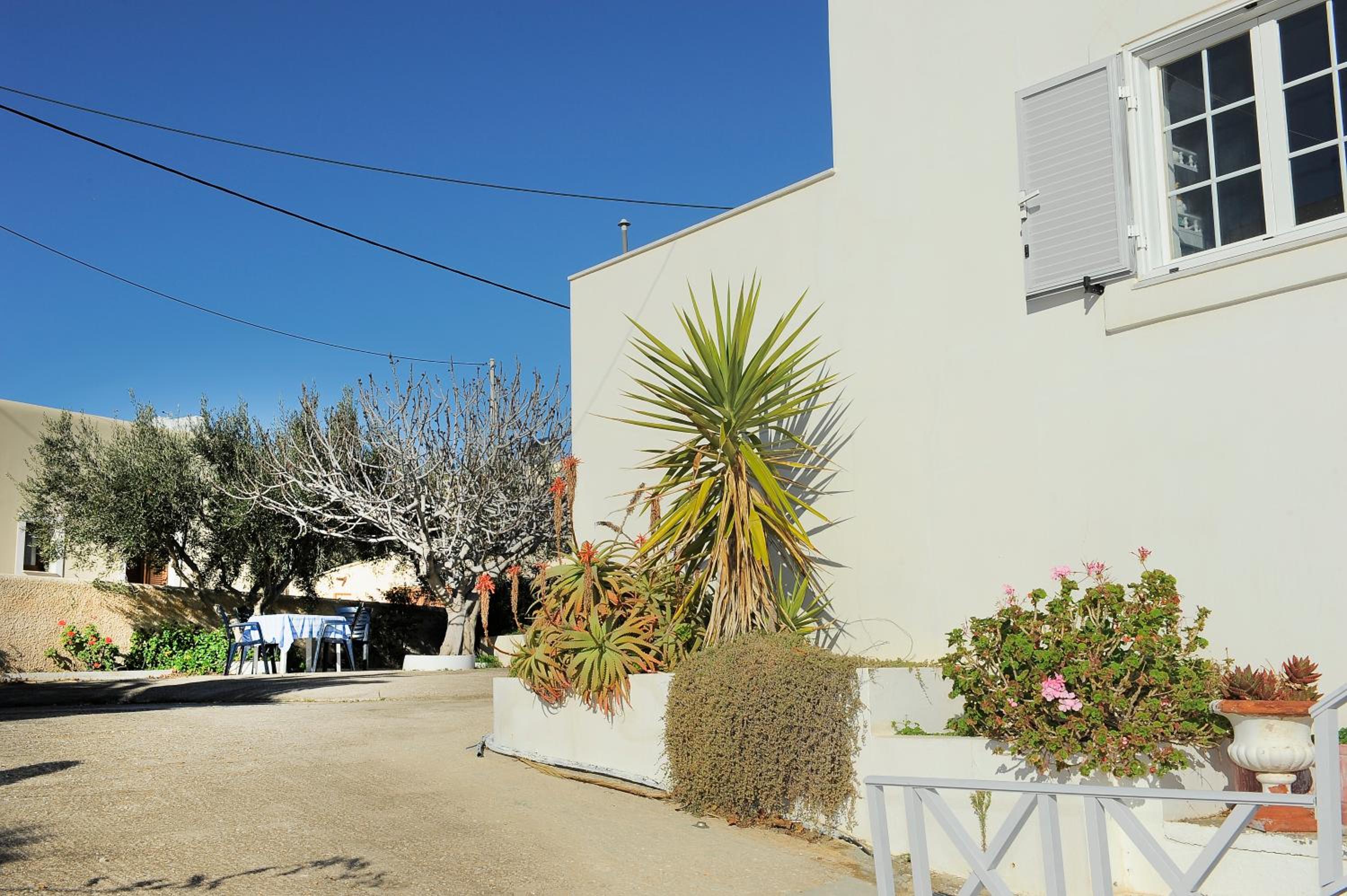 Villa - Beach Front - Photo 9
