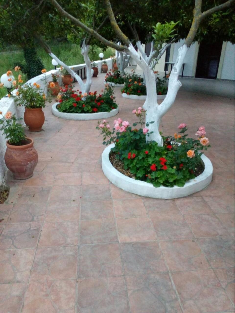 Deluxe Double Room with Balcony - Photo 22