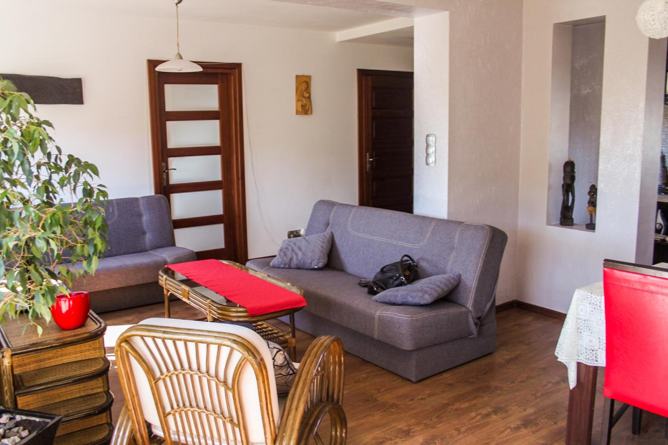 Apartment with Terrace photo 3