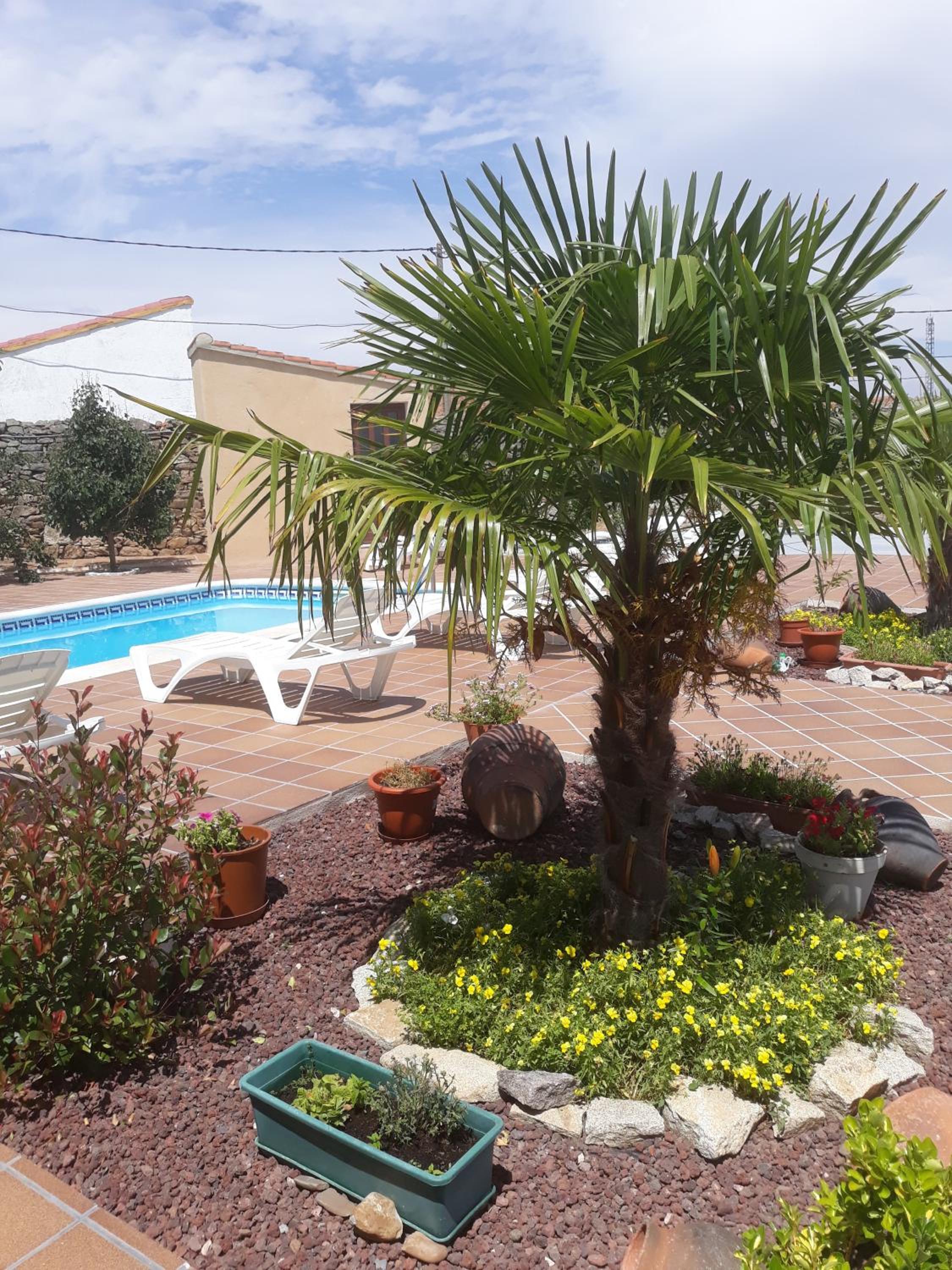 House "Lozanía" with 2 bedrooms photo 2