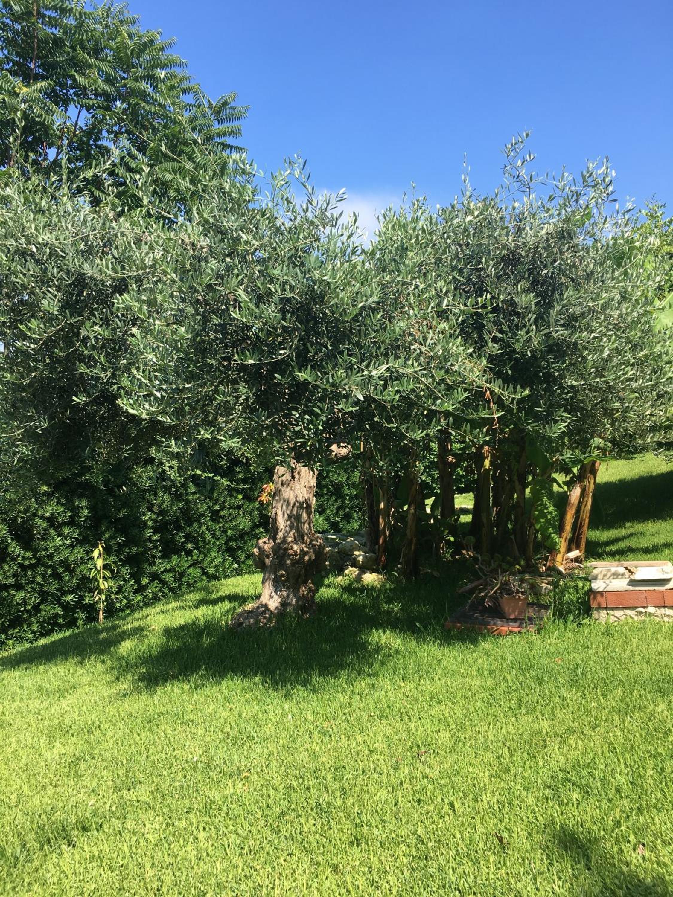 Apartment - Photo 32