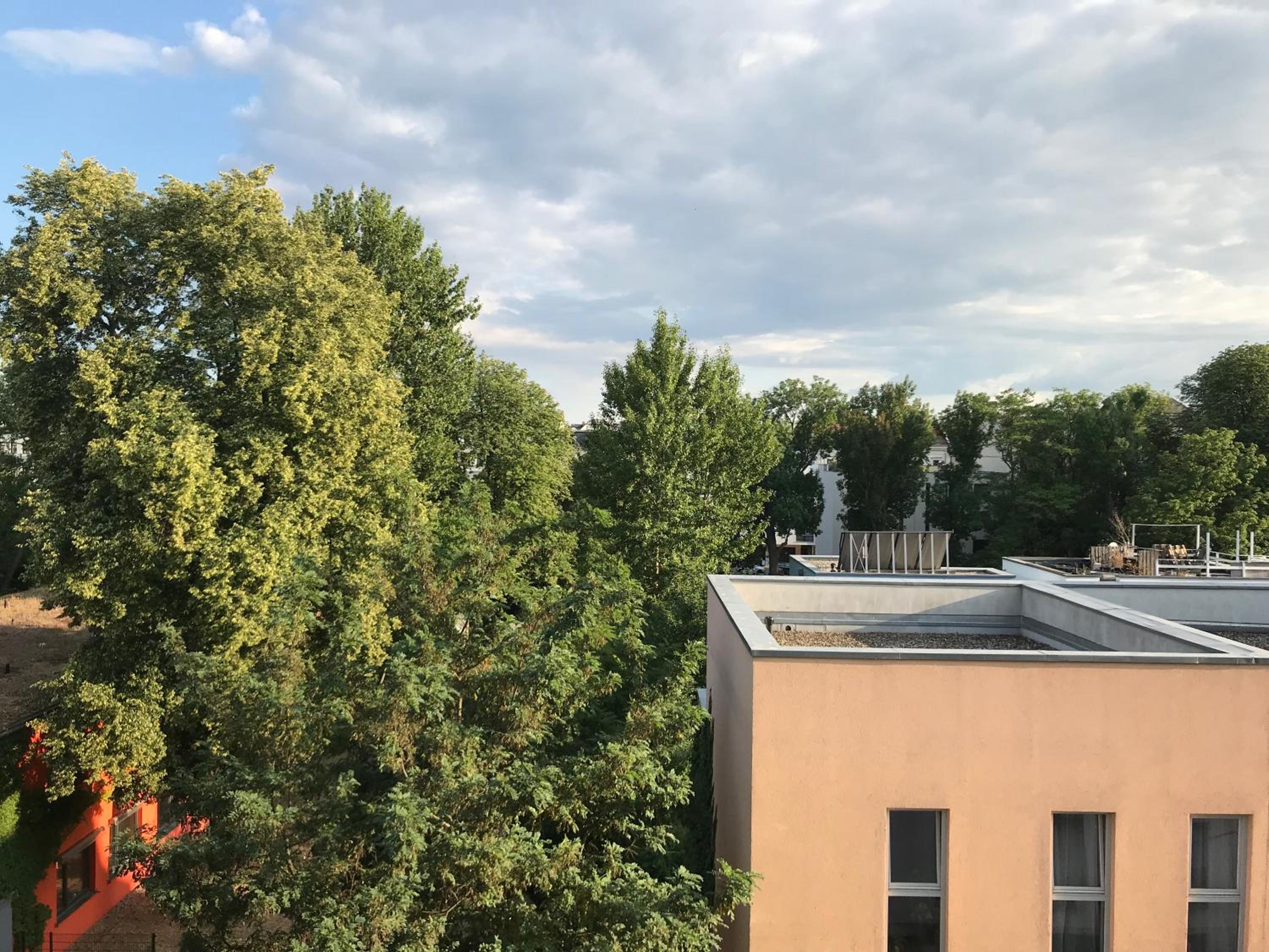 Apartment - Photo 8