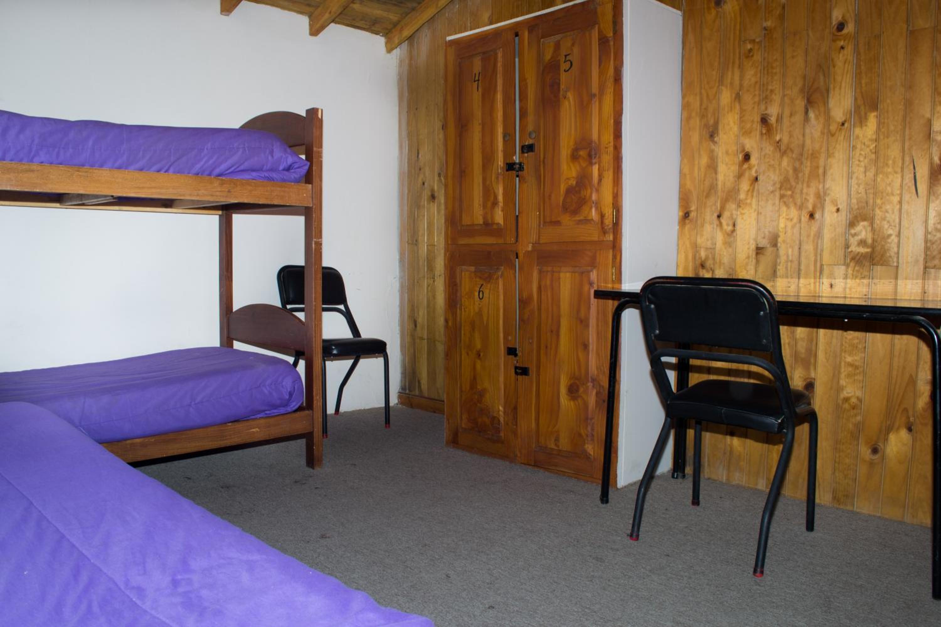 Bed in 6-Bed Mixed Dormitory Room photo 1