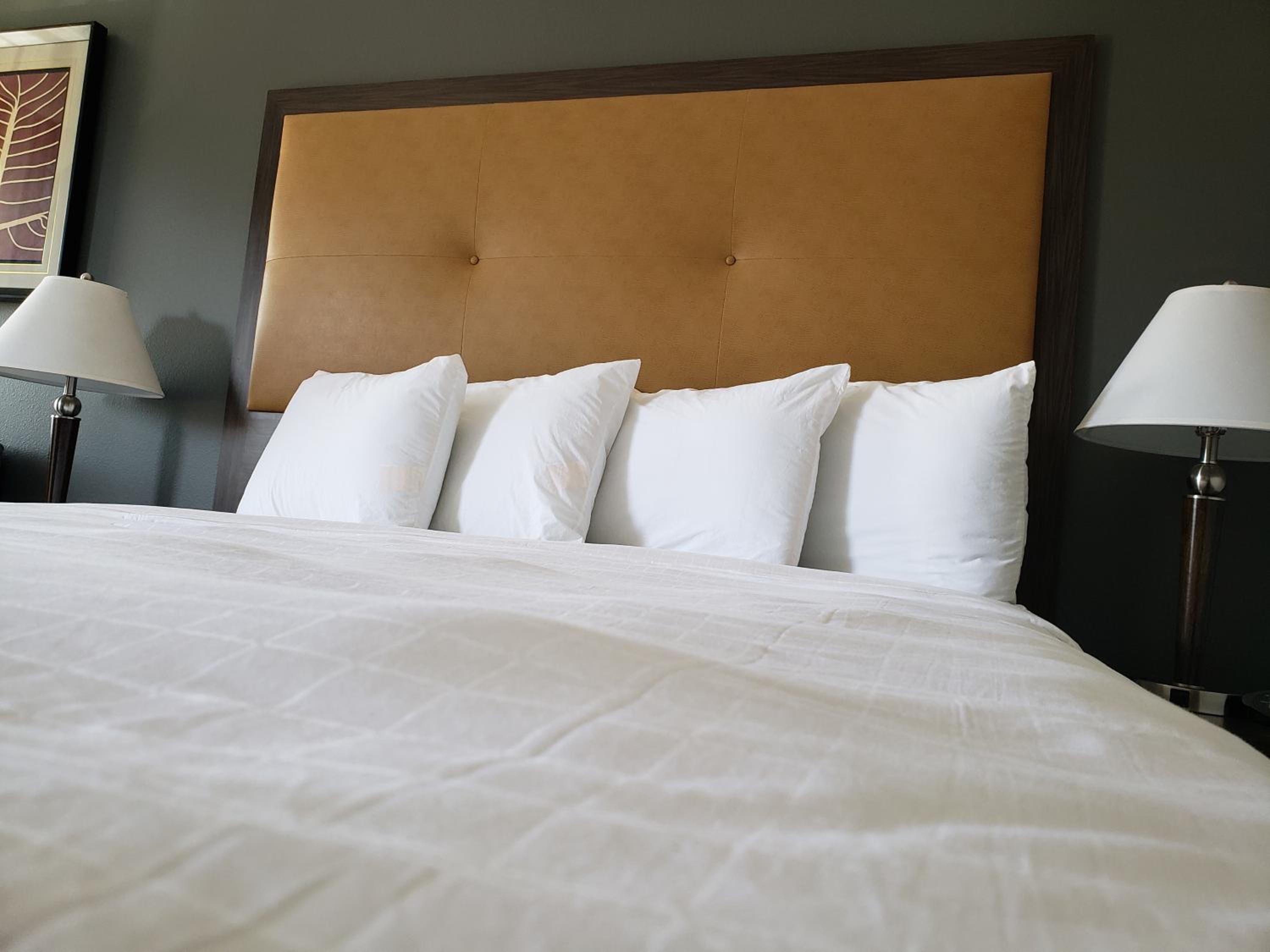 King Room - Photo 2