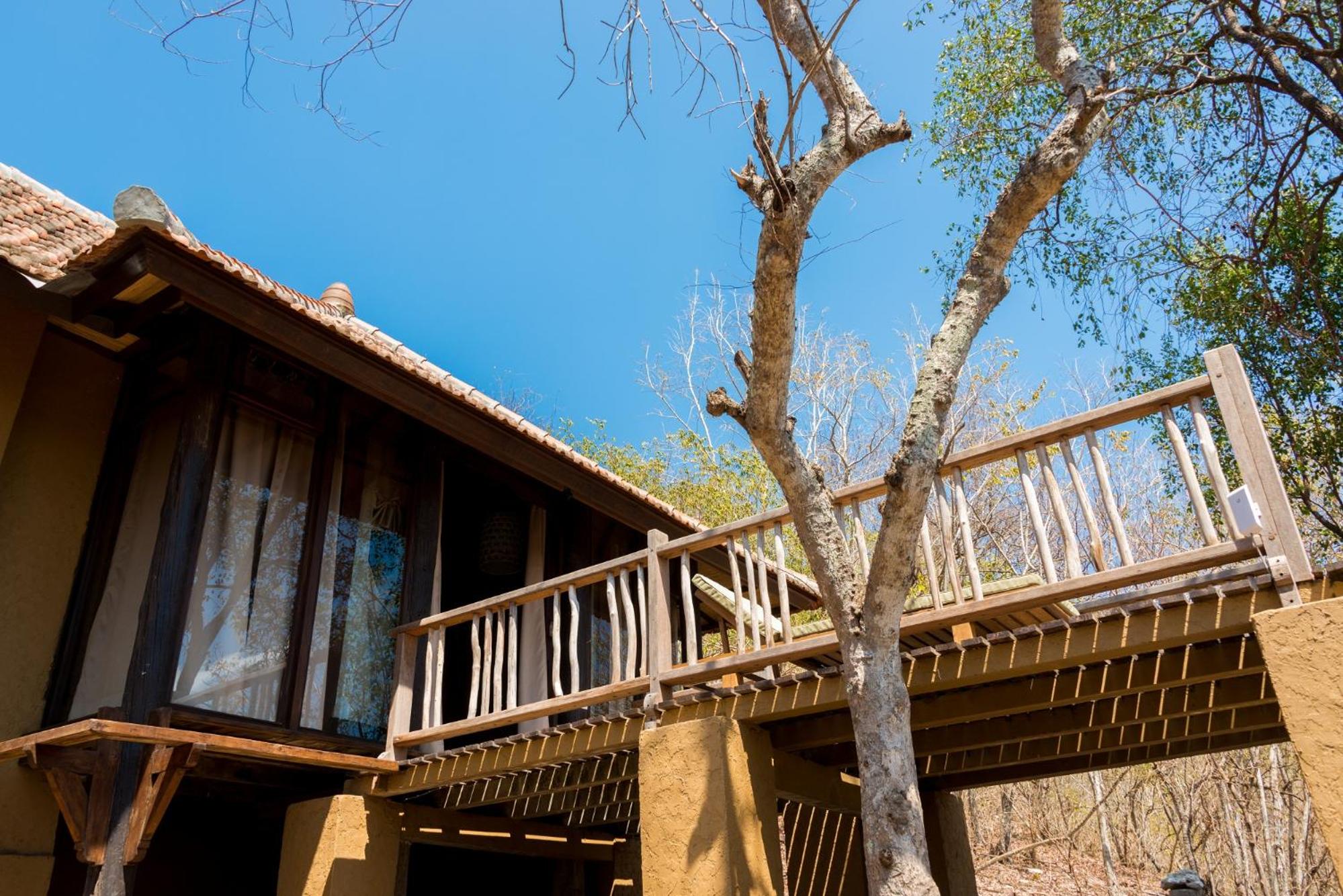 Jungle Lanai Cottage with Free Snorkeling at House Reef  - Photo 11
