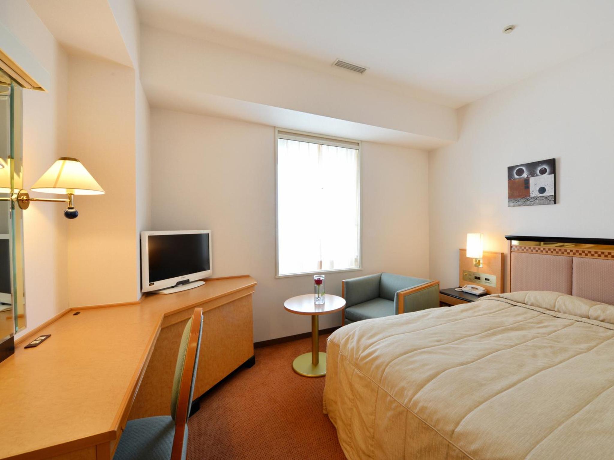 Standard Single Room with Small Double Bed - Non-Smoking