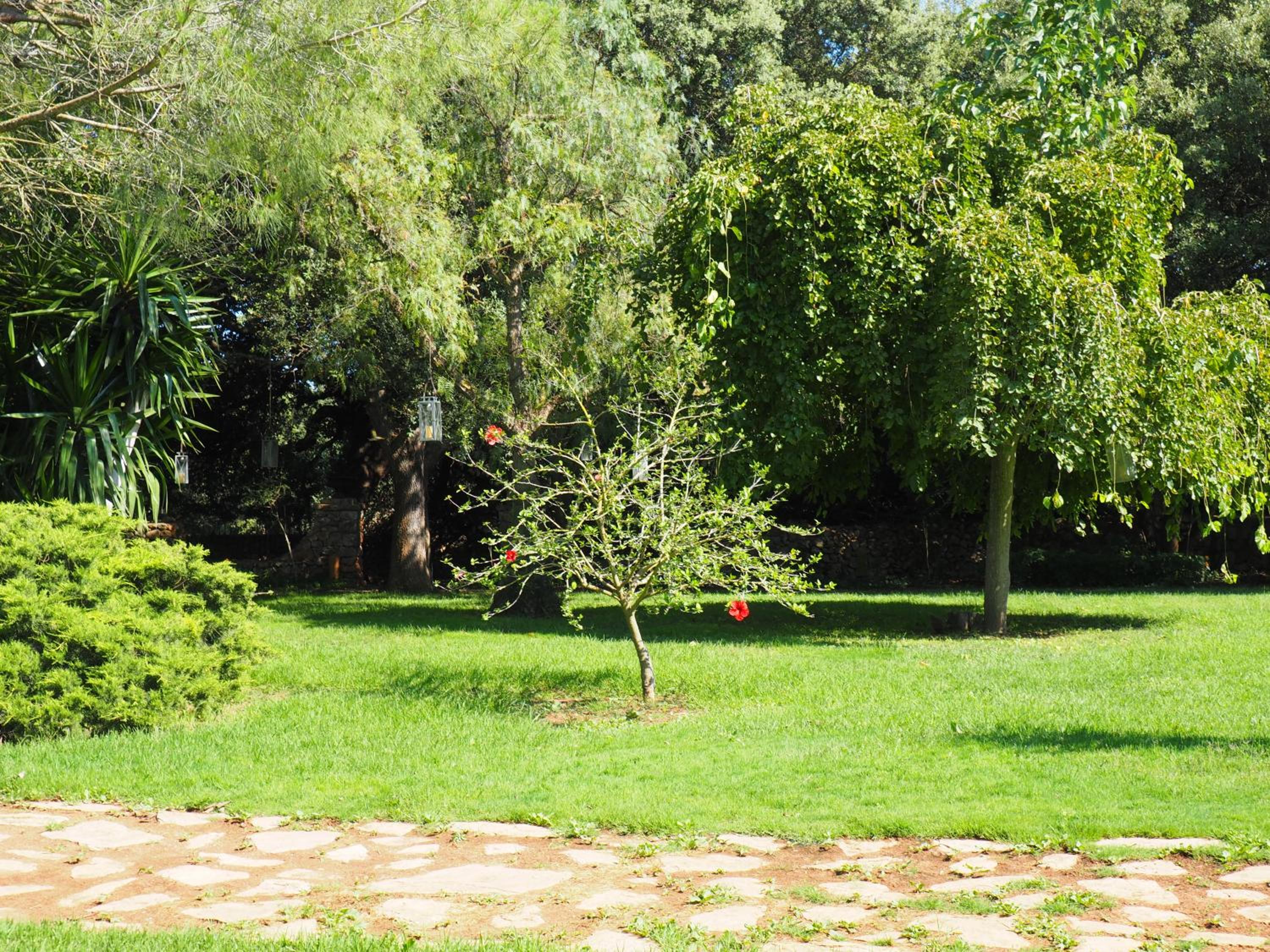 Suite with Garden View photo 3