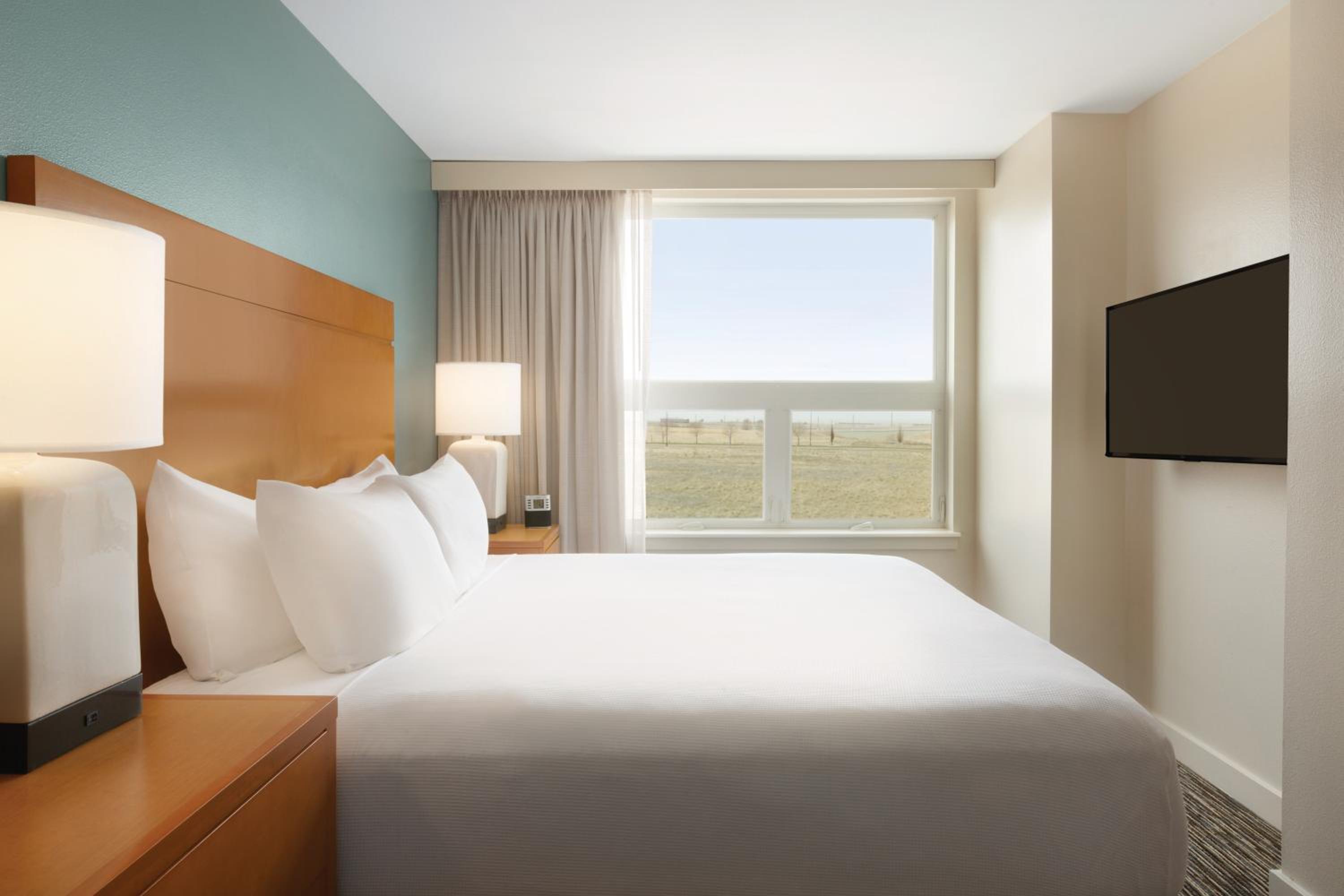 One-Bedroom King Suite - Photo 4